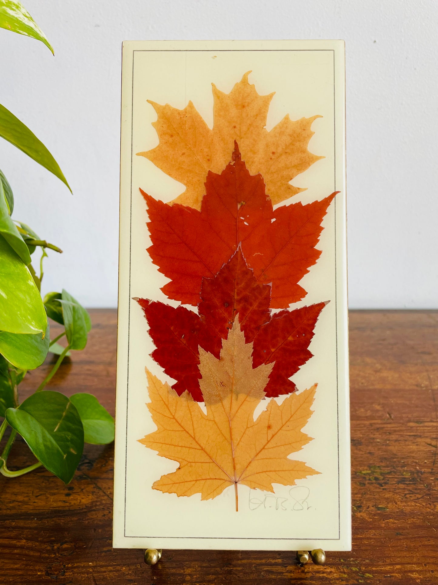 Vintage Henni Original Naturally Preserved Canadian Maple Leaves in Resin Picture - Artist Signed - Handmade in Canada