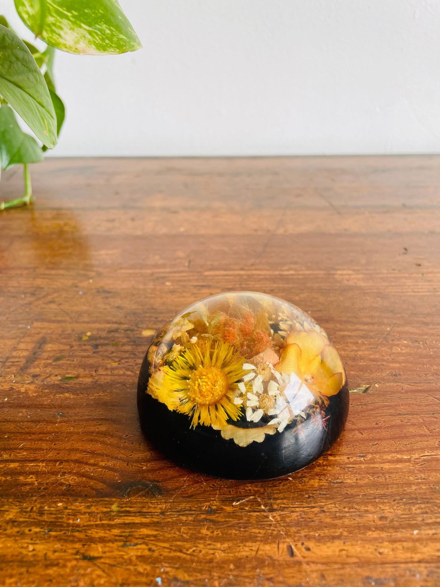 Preserved Dried Flowers Lucite Paperweight