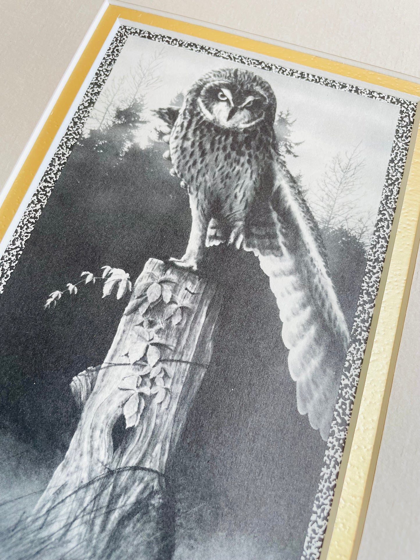 Vintage Black & White Photograph Print Picture of Owl on Tree Trunk with Forest Background - 8” x 10” - Matted & Ready to Frame