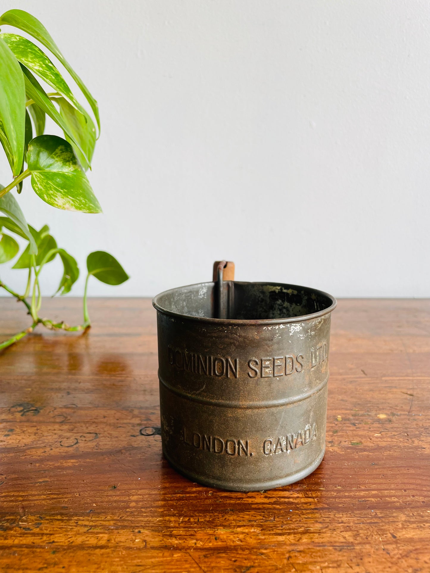 Dominion Seeds Ltd. London Canada 2 Cup Flour Sifter Cup with Wood Handle - Makes a Great Planter!