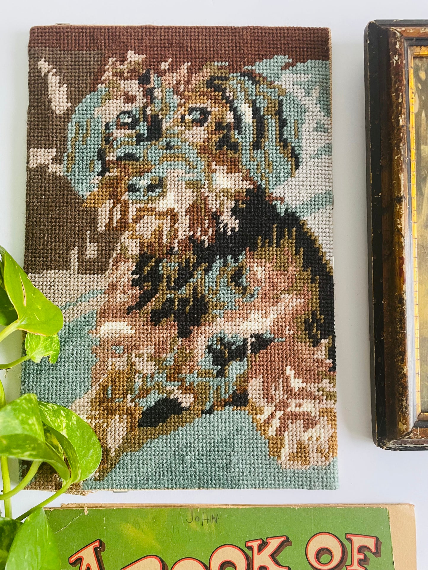 Needlepoint Embroidery Picture of Dachshund Dog