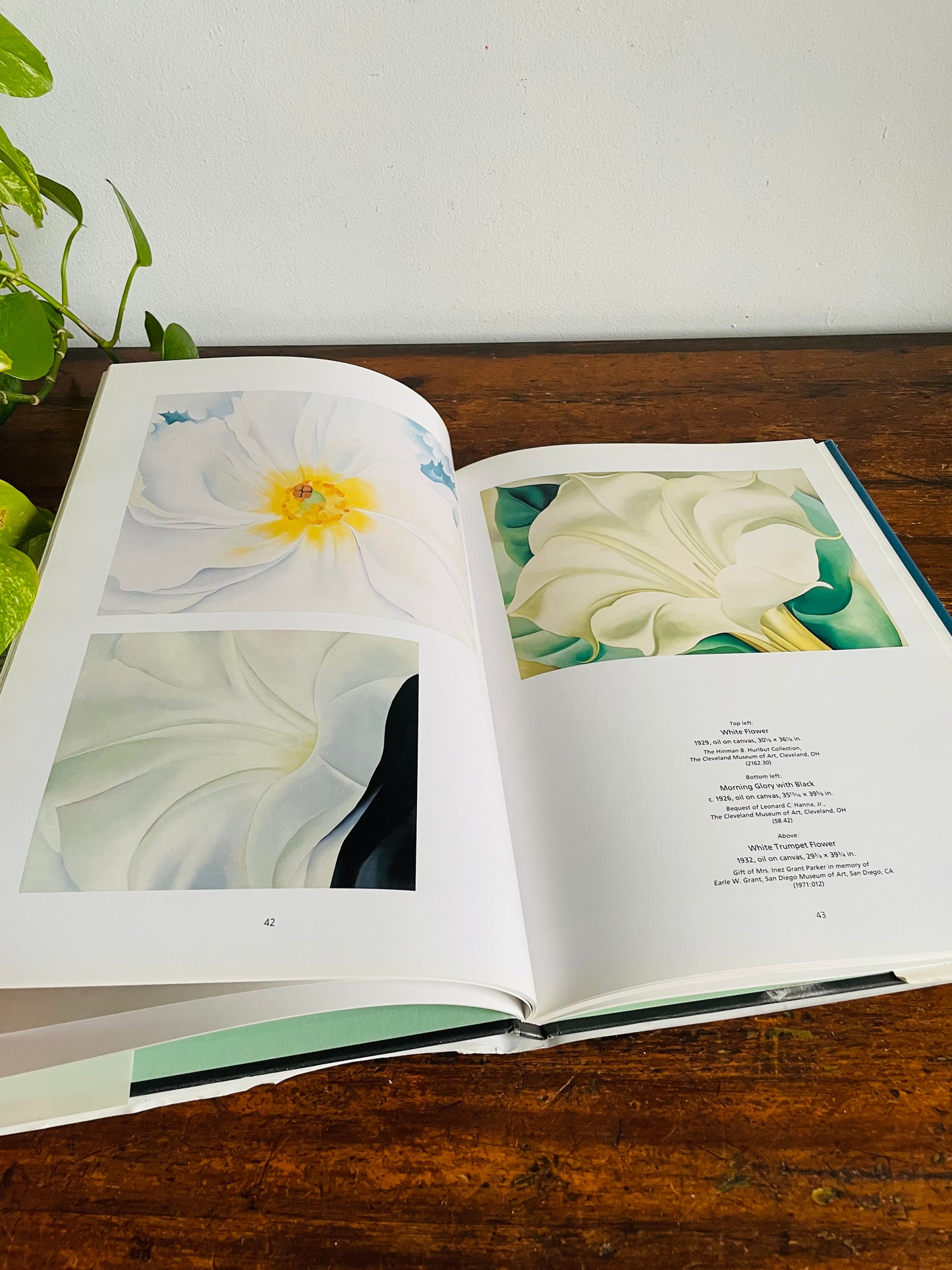 Vintage Georgia O'Keeffe Hardcover Coffee Table Book by Elizabeth Montgomery (1992)