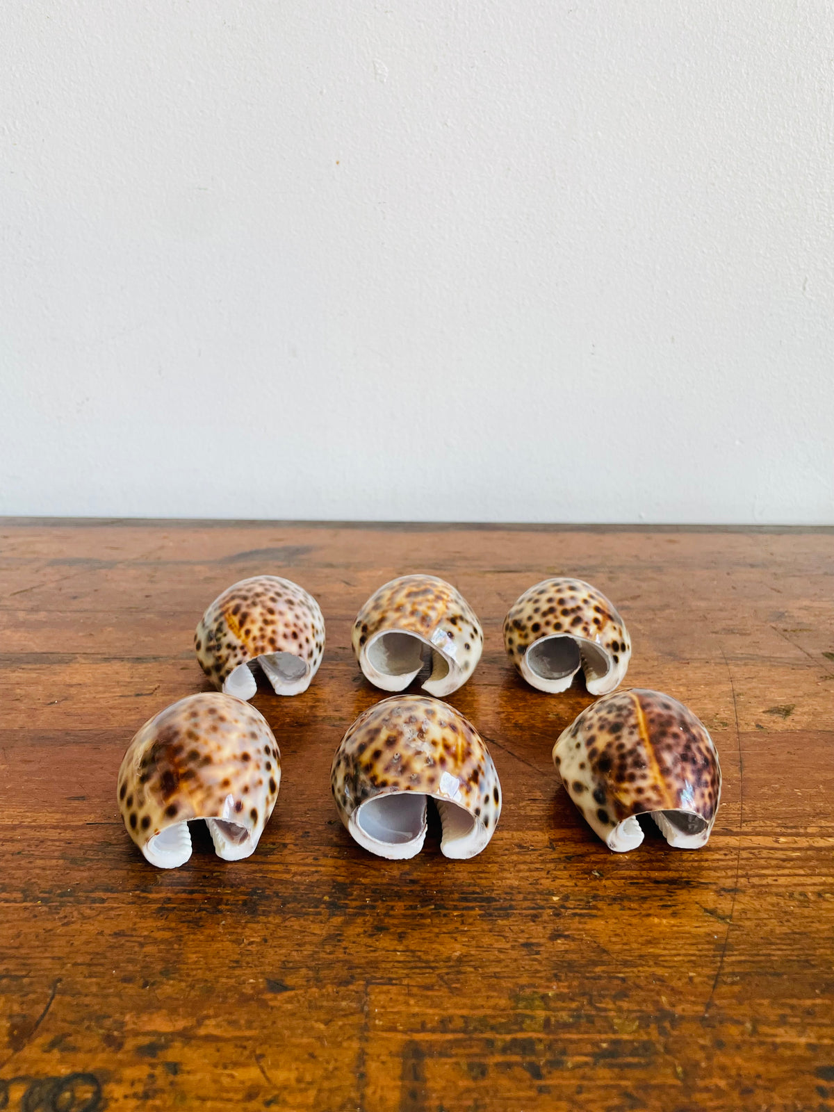 Vintage Carved Seashell Napkin Rings - Set of 6