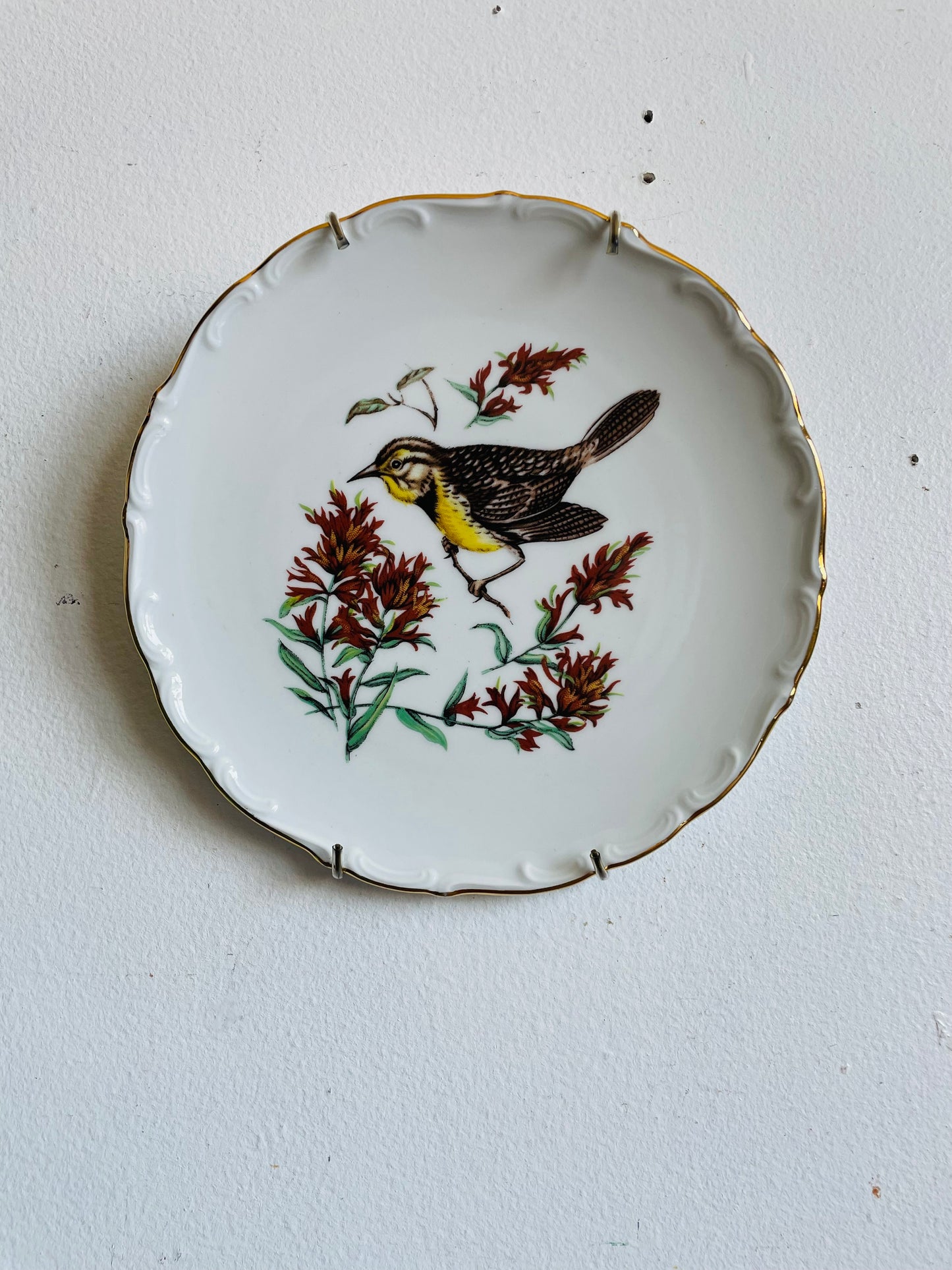 Vintage Bavaria Schumann Arzberg Germany Plate with Bird Design - Includes Wall Plate Hanger but Could Use Without