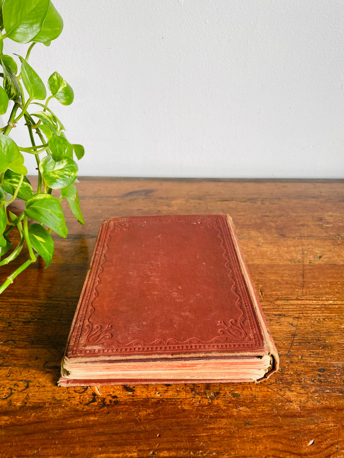 Vintage 1940s Child's Book of French & English Embossed Hardcover Book - Illustrated with 150 Engravings