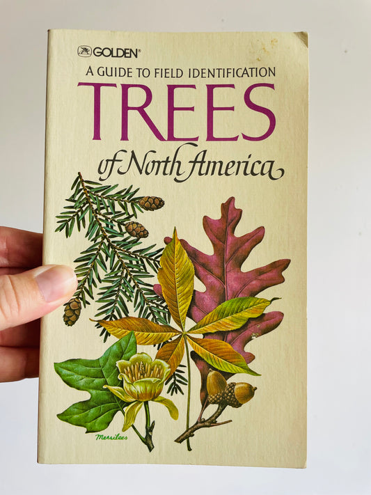 Vintage Golden Guide to Field Identification of Trees of North America Softcover Book (1979) by C. Frank Brockman & Illustrated by Rebecca Merrilees