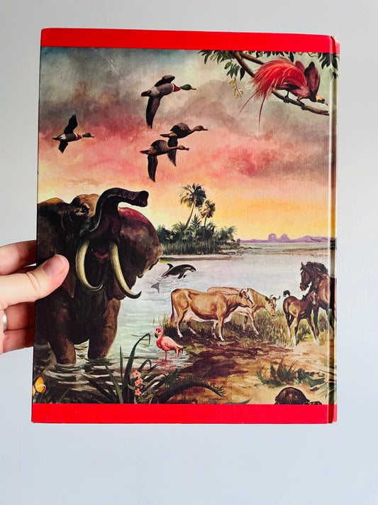 Wonders of Nature: A Child's Introduction to the World of Animals, Plants, Birds, Fish & Insects Hardcover Book by Parents' Magazine Press (1974)