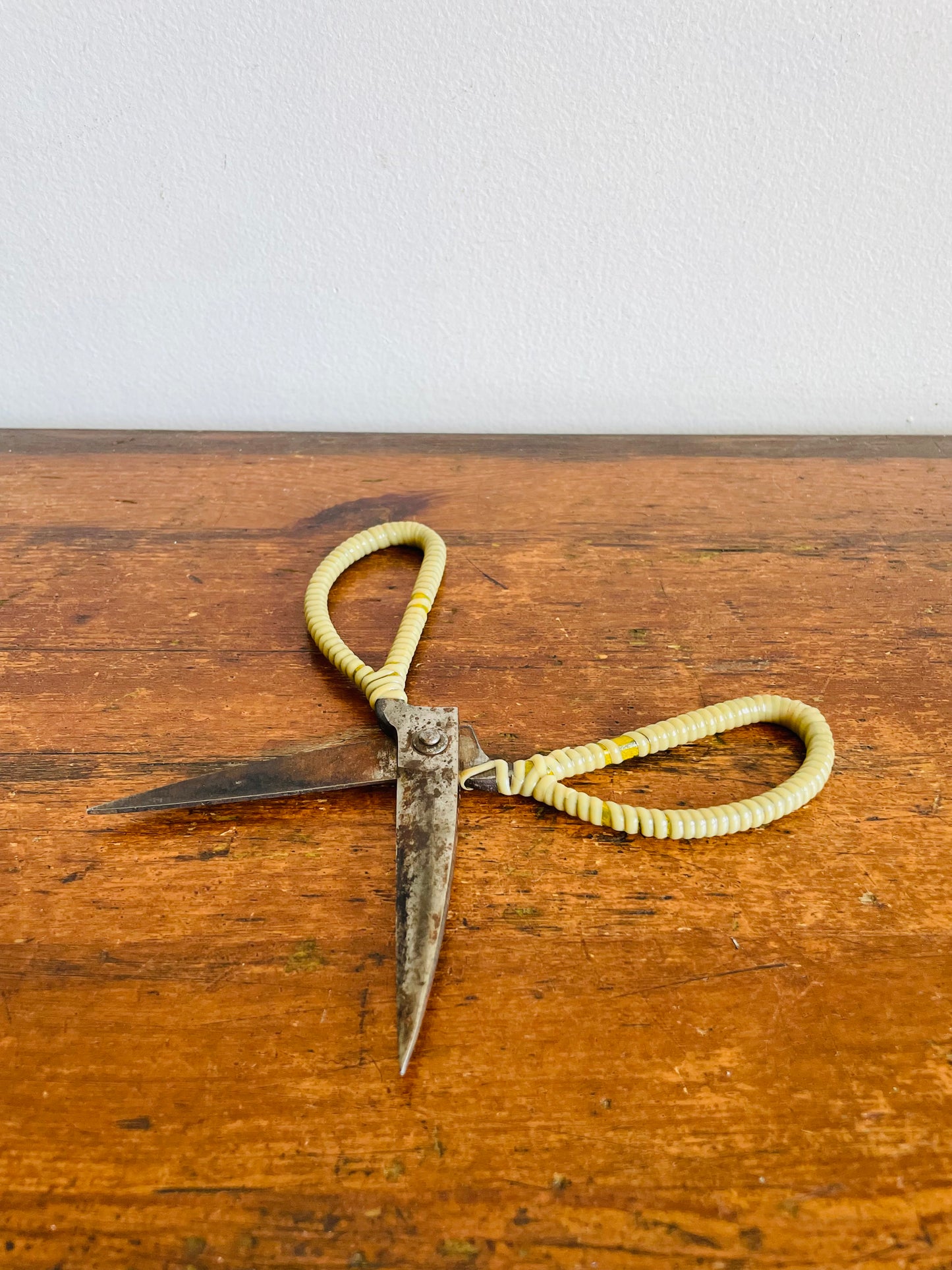 Vintage Metal Scissor Shears