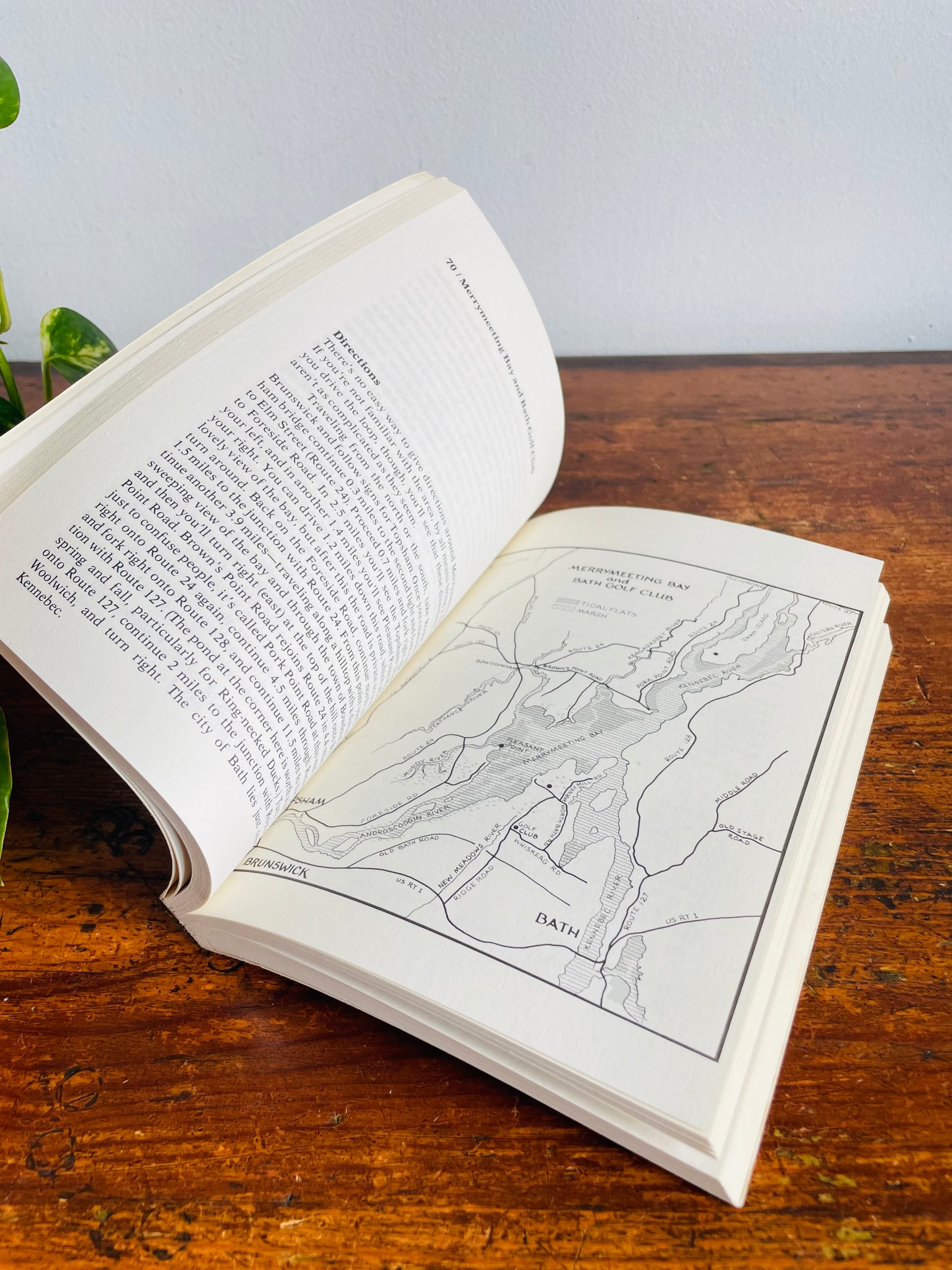 Vintage A Birder's Guide to the Coast of Maine Paperback Book by Elizabeth Cary Pierson & Jan Erik Pierson (1981)