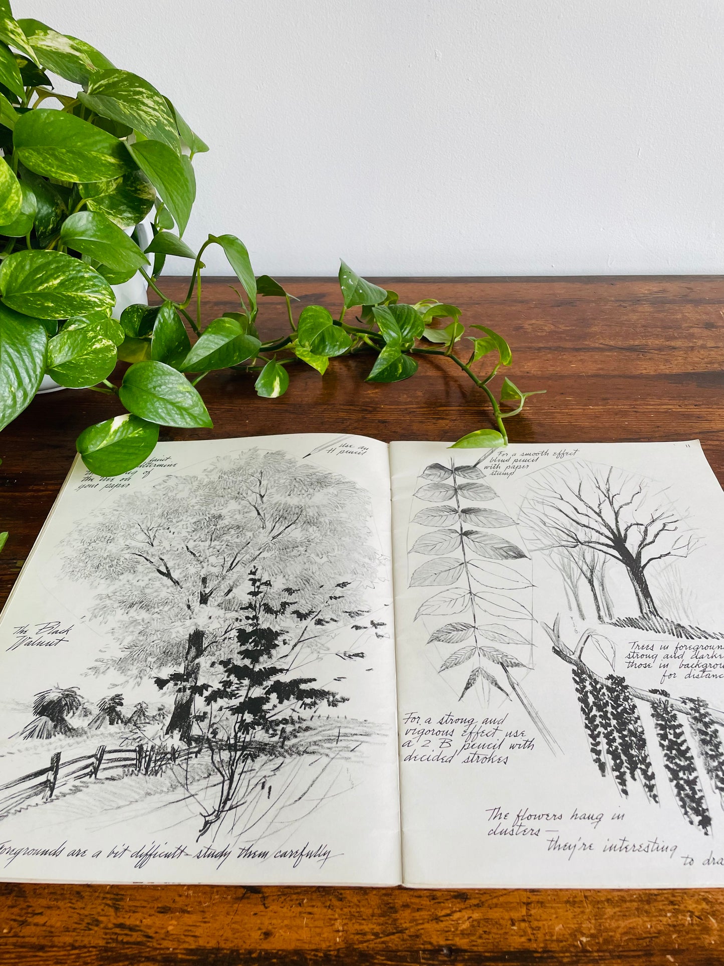 Walter T. Foster Art Book - How to Draw Trees:  Drawing Shrubs, Trees, and Landscapes