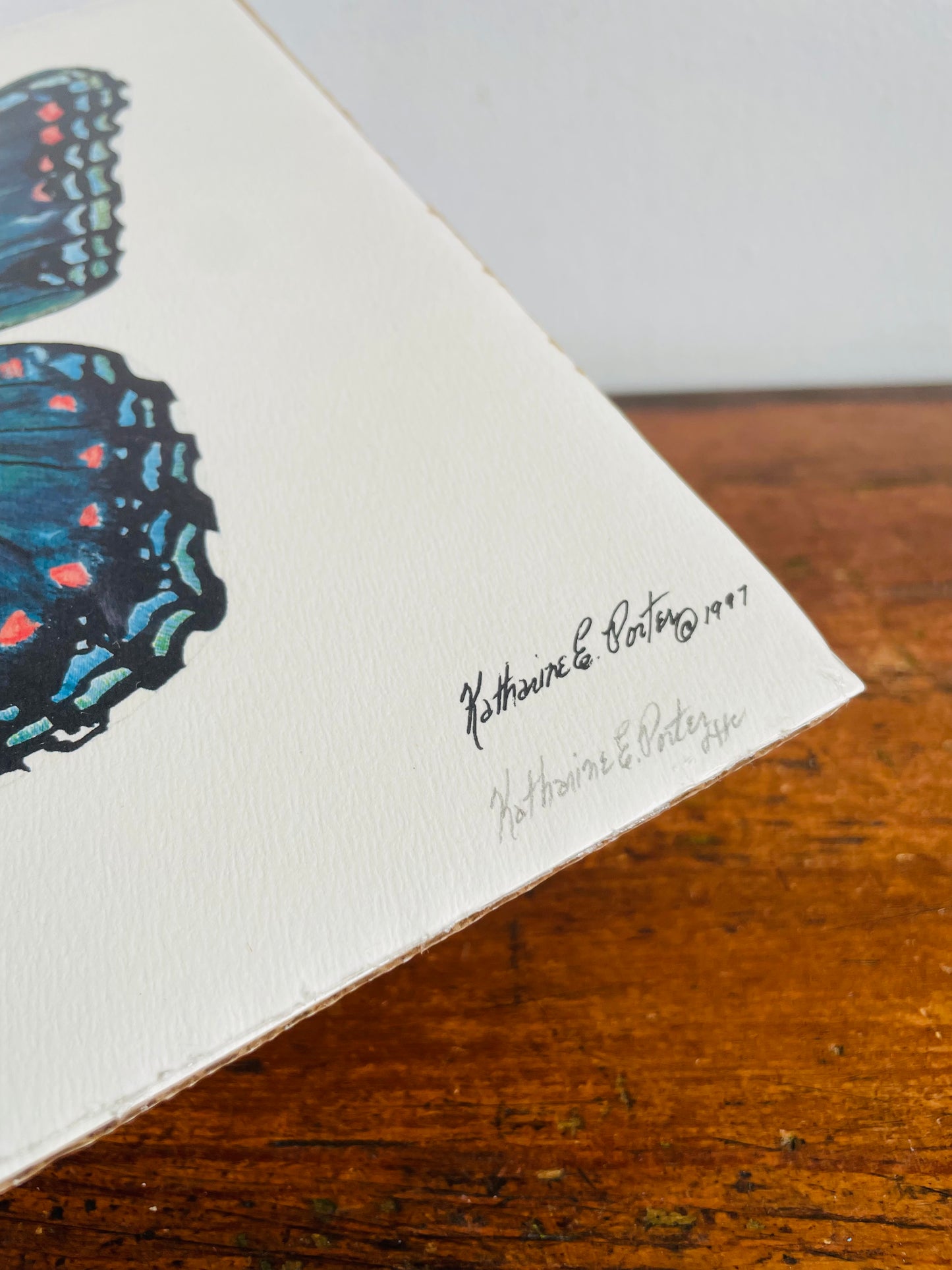 Vintage 1997 Pencil Signed & Numbered Print of Red-Spotted Purple Butterfly by Niagara Artist Katharine E. Porter #2