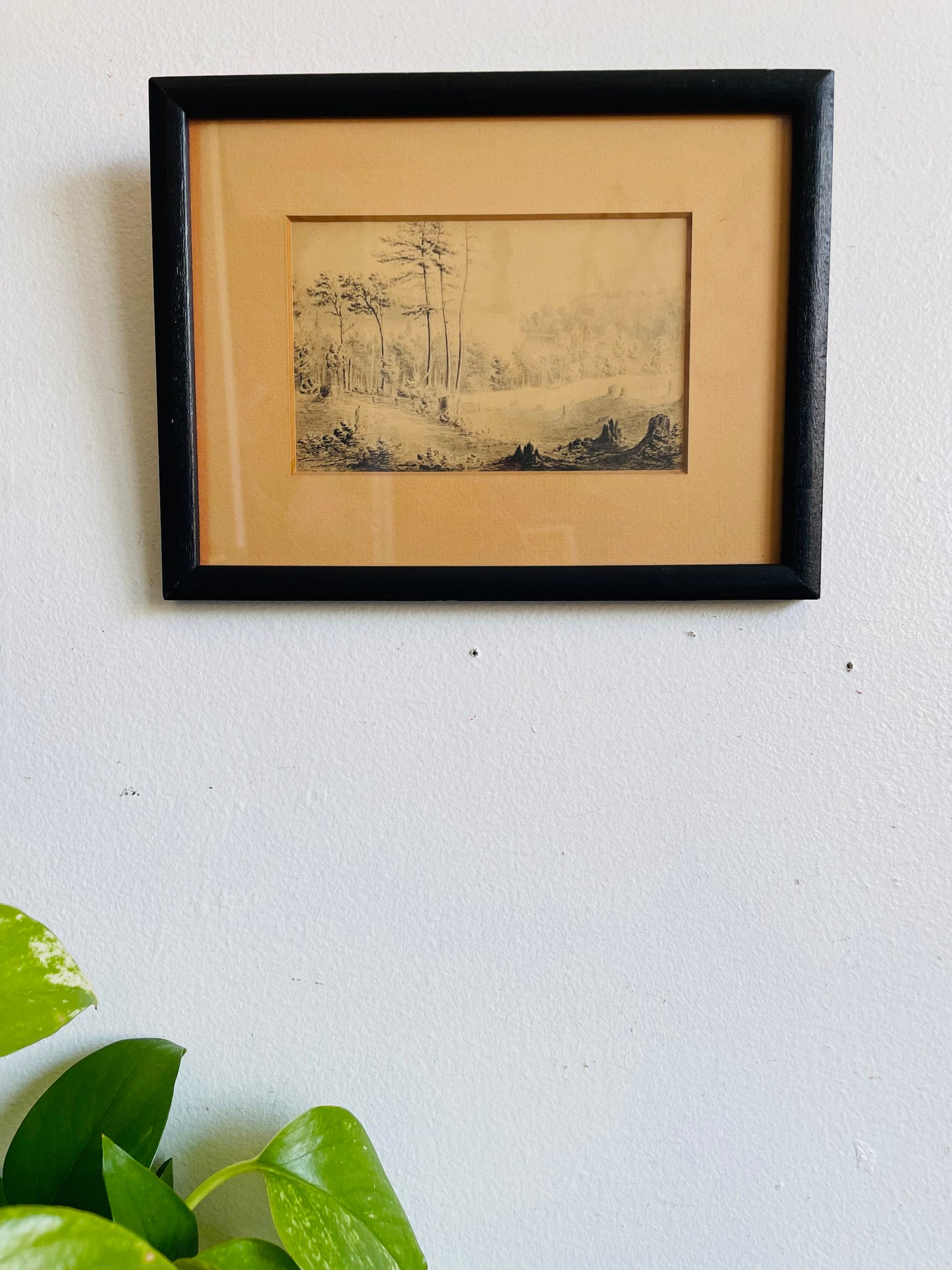 Vintage Print Picture "Sturgeon Lake" From the Original Anne Langton Sketches Fenelon Falls Public Library Collection - Ontario, Canada