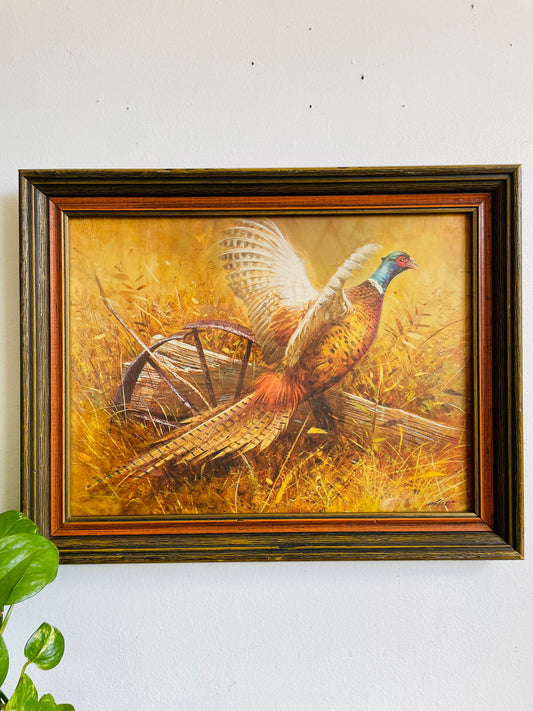 Vintage Print Picture of a Wild Pheasant Bird in Wood Frame - A Windsor Art Product - No Shipping