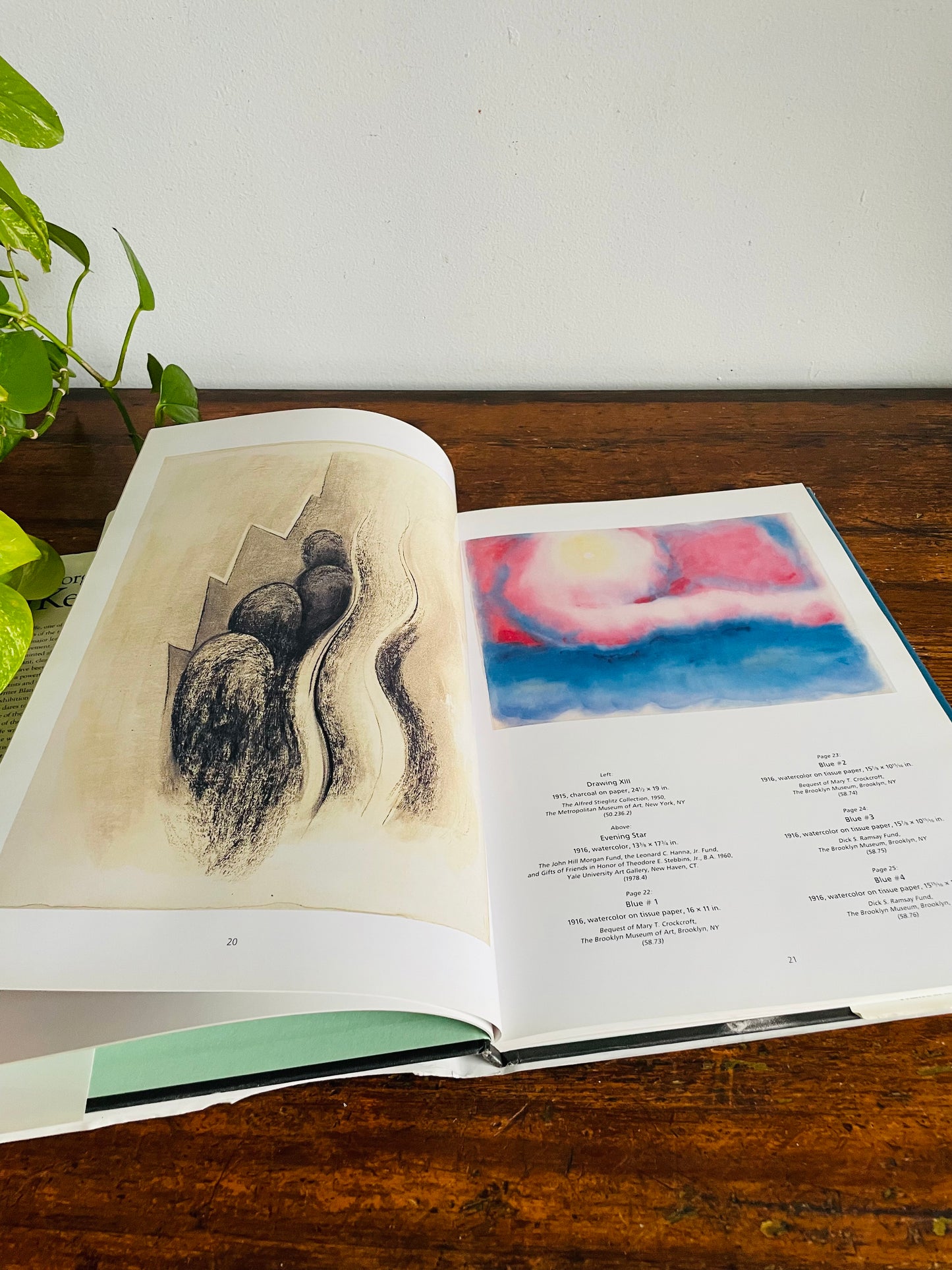 Vintage Georgia O'Keeffe Hardcover Coffee Table Book by Elizabeth Montgomery (1992)