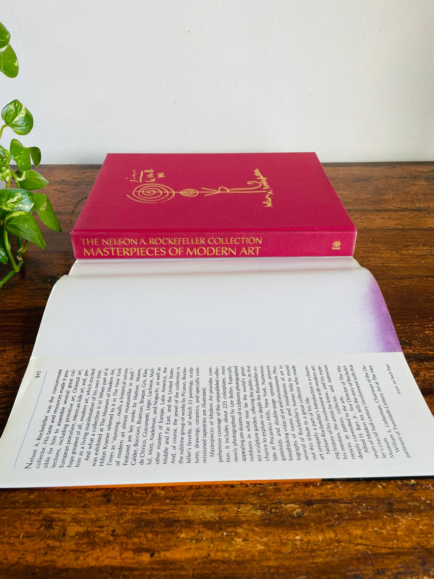 Vintage The Nelson A. Rockefeller Collection Masterpieces of Modern Art Oversized Hardcover Coffee Table Book (1981)