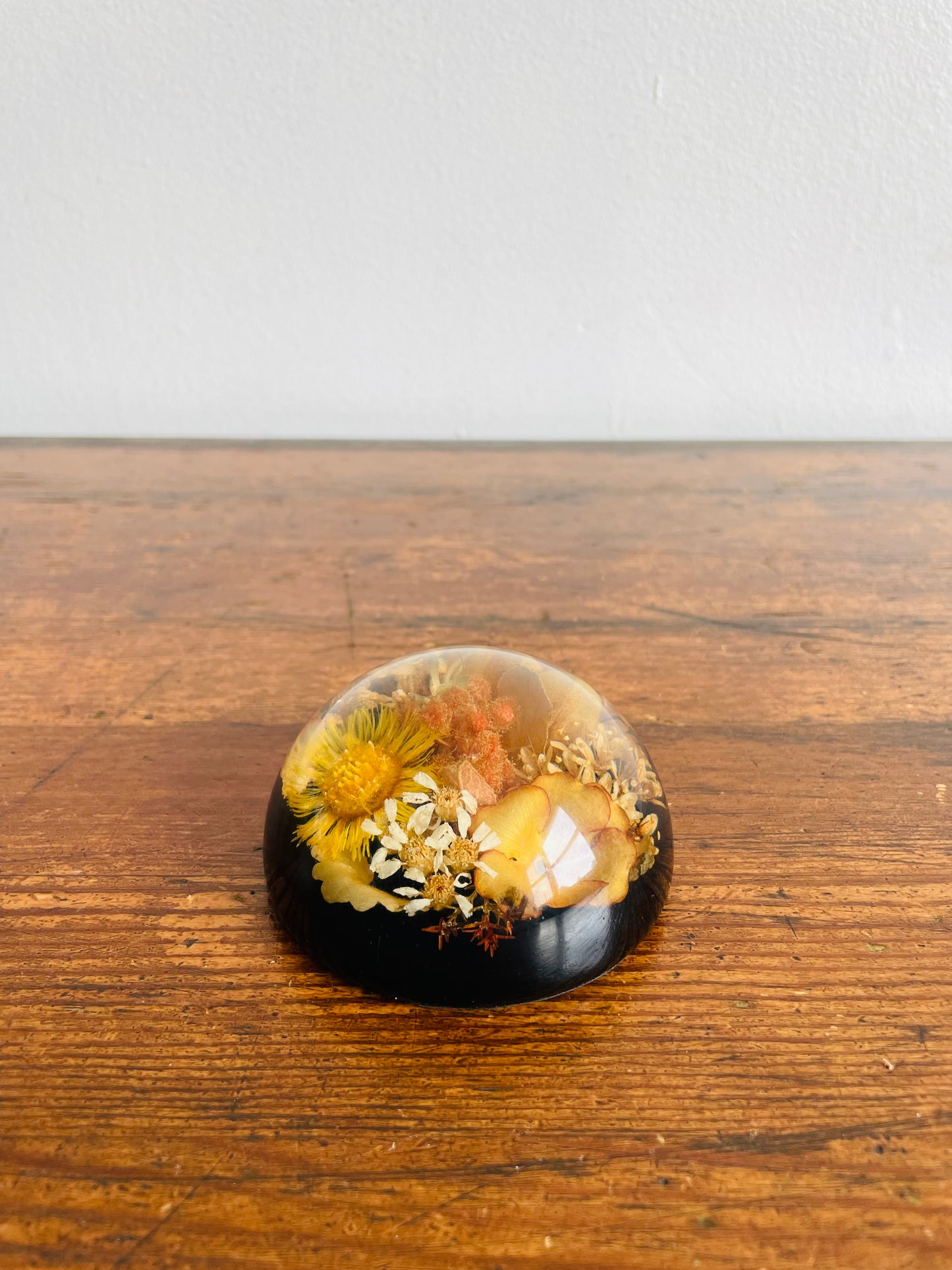 Preserved Dried Flowers Lucite Paperweight