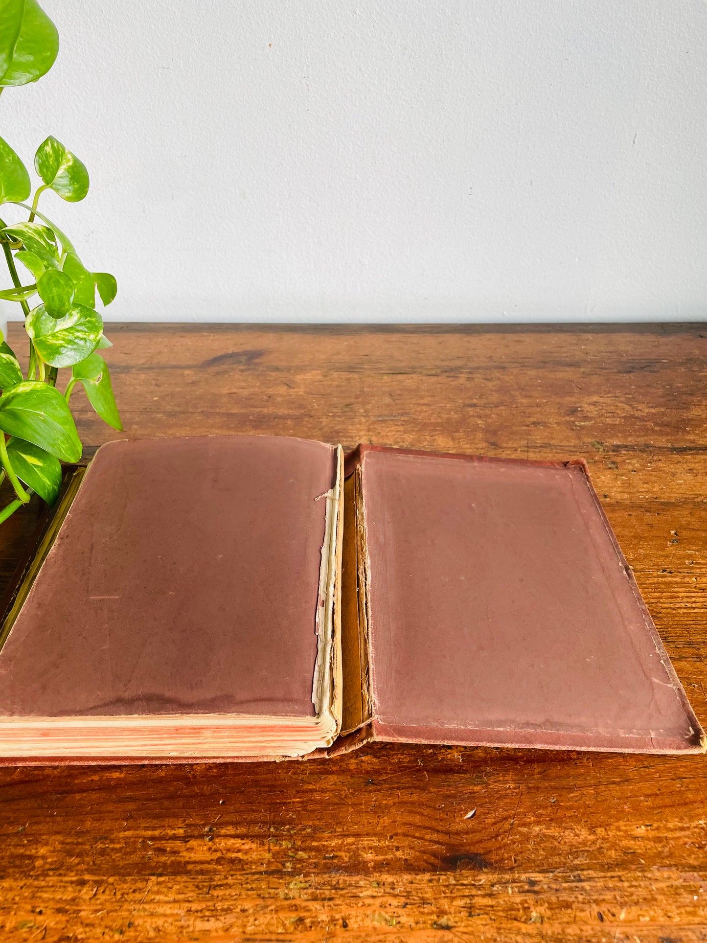Vintage 1940s Child's Book of French & English Embossed Hardcover Book - Illustrated with 150 Engravings