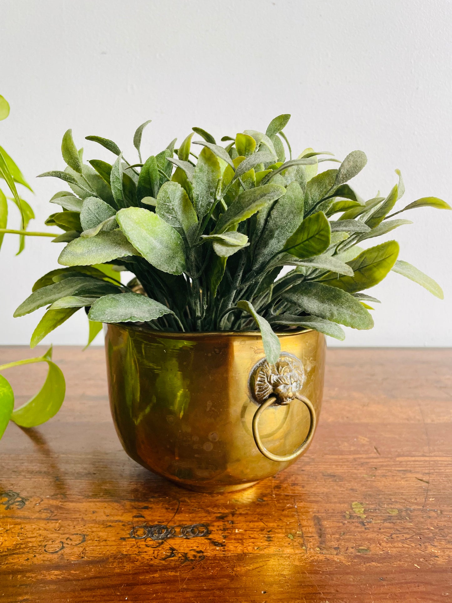 Brass Planter Pot with Lion Head Handles - Made in India