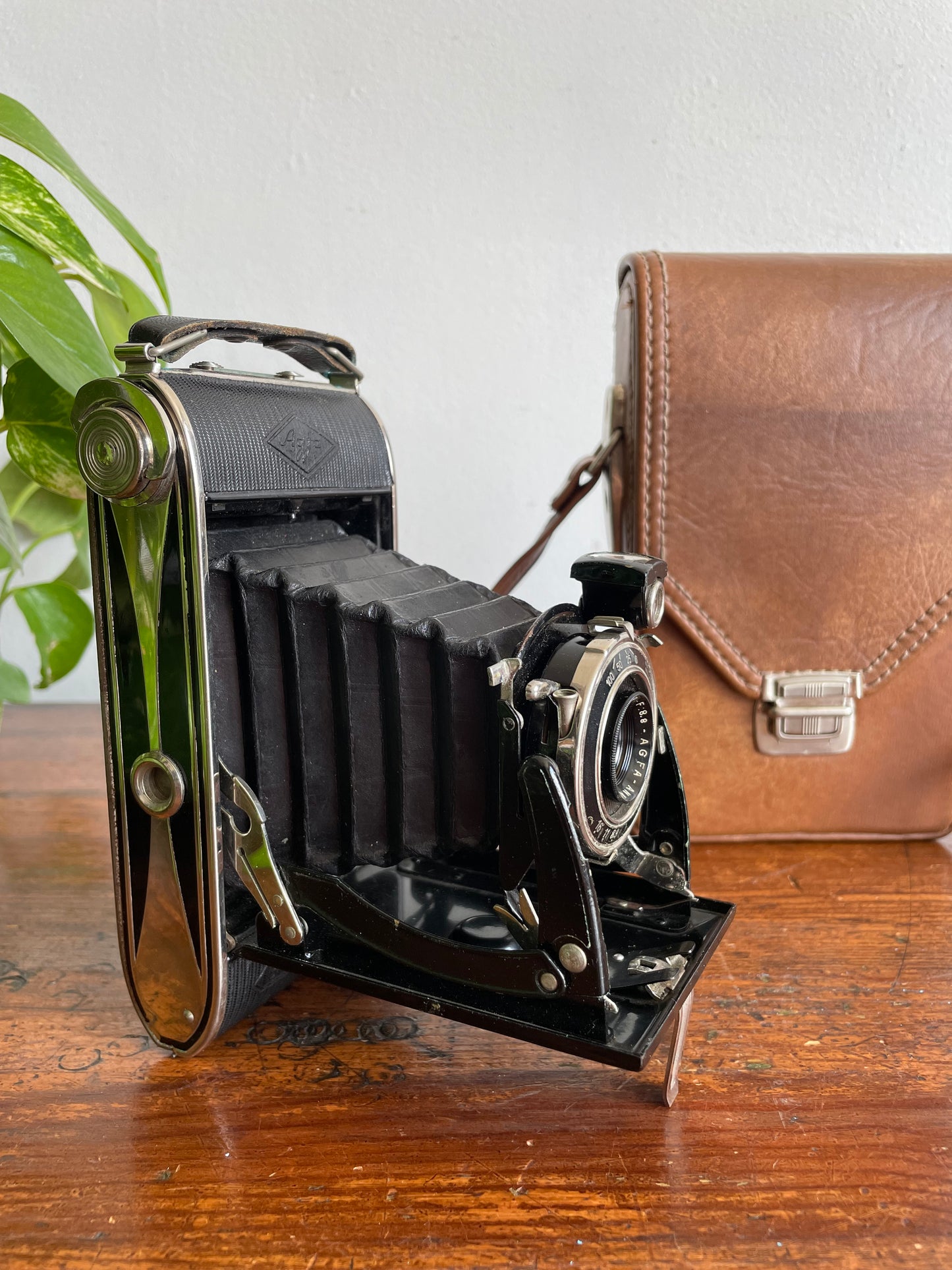 Agfa Billy Record 8.8 Folding Film Camera with Brown Carry Case - Produced Between 1933 to 1942