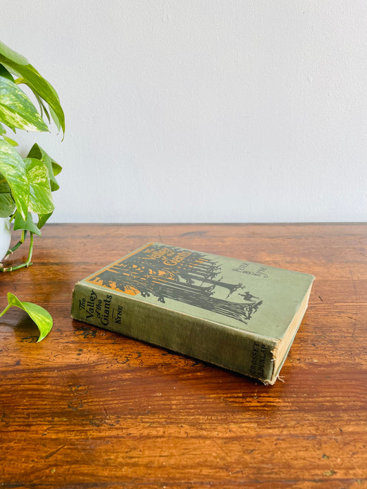 The Valley of the Giants Antique Clothbound Hardcover Book by Peter B. Kyne (1918) - Classic Adventure - Lumberjacks in California