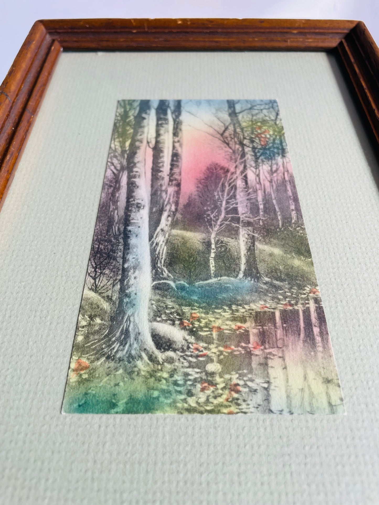 Framed Lithograph Print Picture of Sunrise Coming Through the Forest