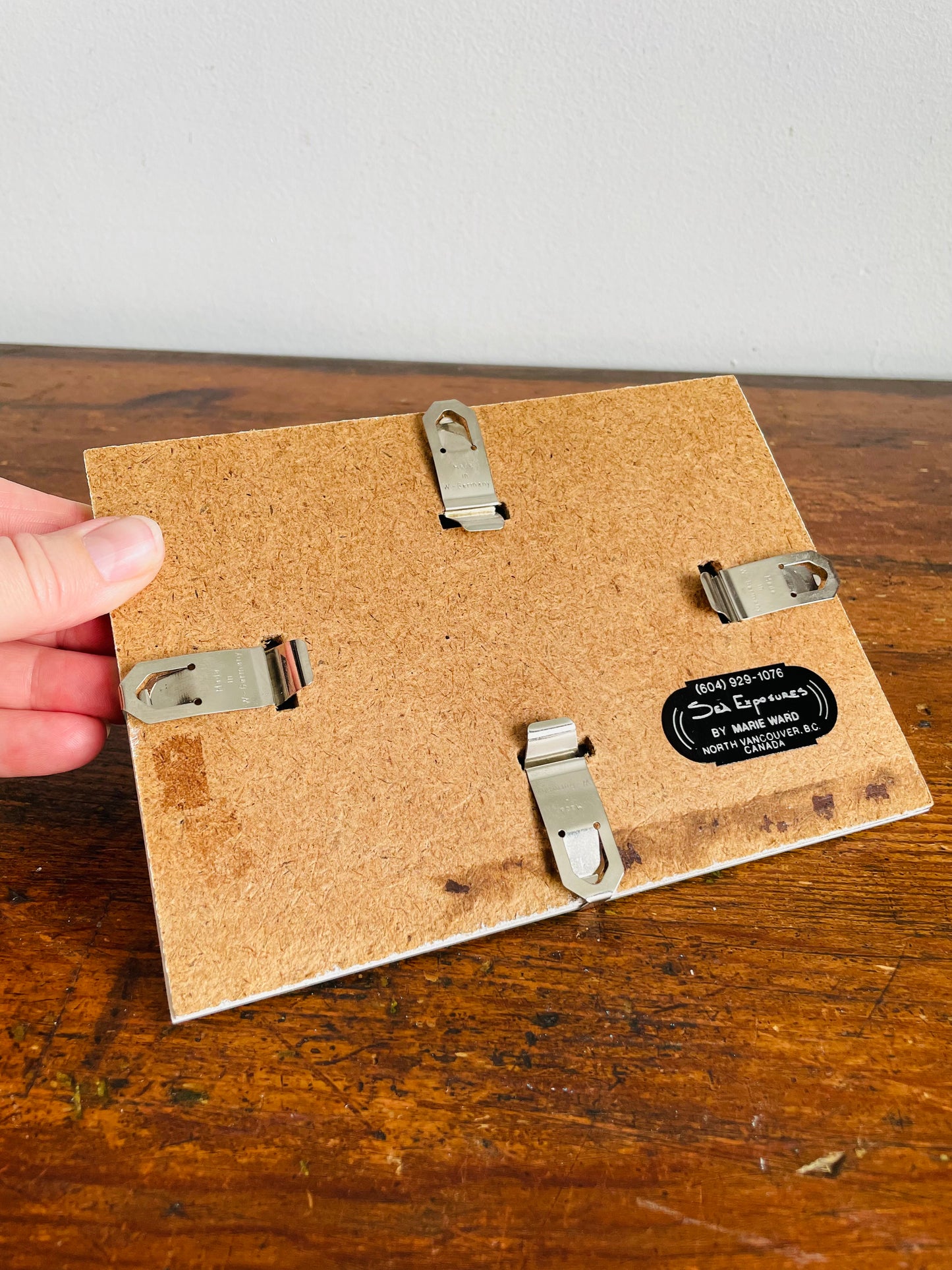 Vintage Pressed Seaweed Original Art - Artist Signed - Marie Ward - North Vancouver BC - Pink & Brown 7" x 5"