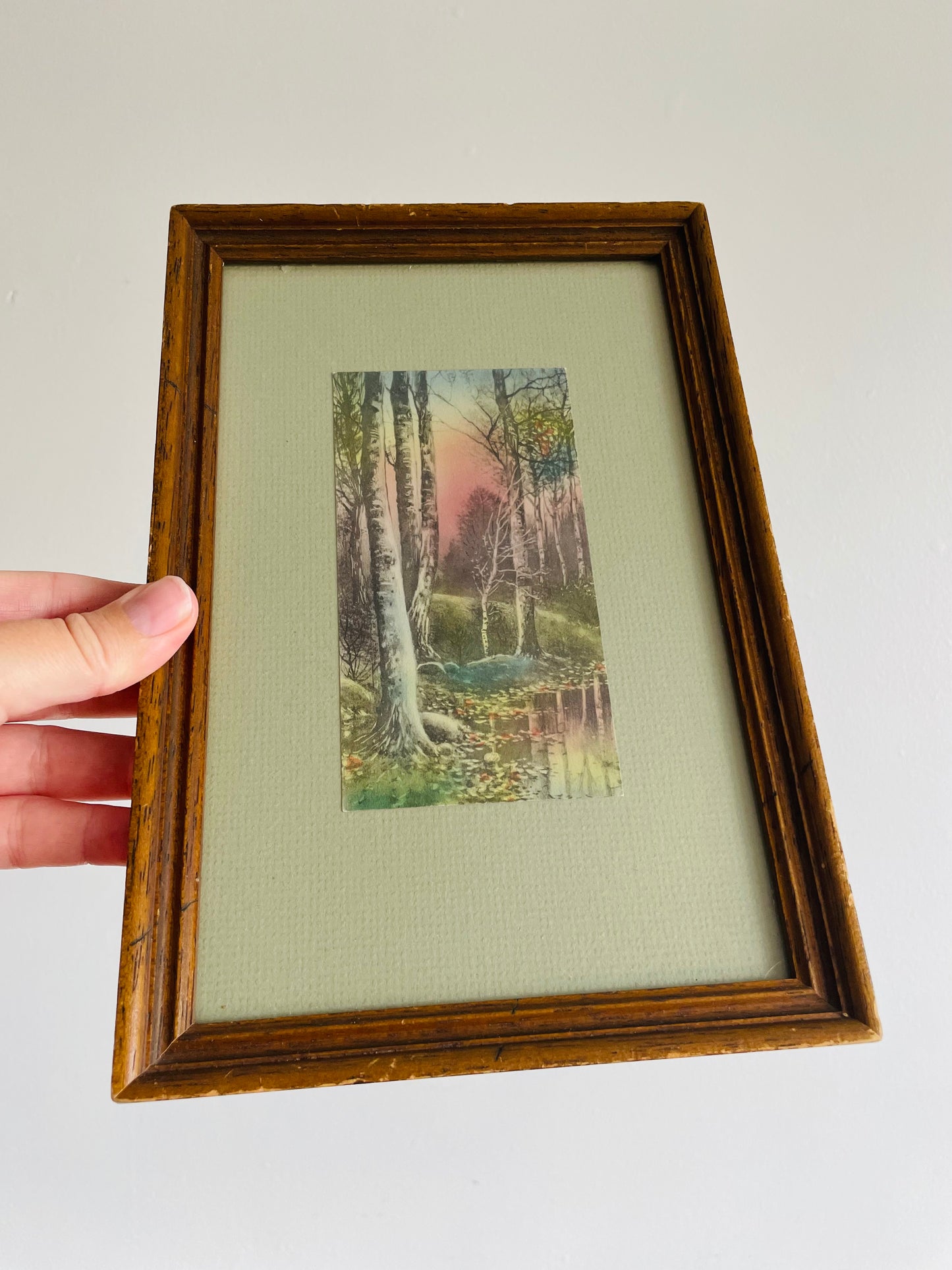 Framed Lithograph Print Picture of Sunrise Coming Through the Forest