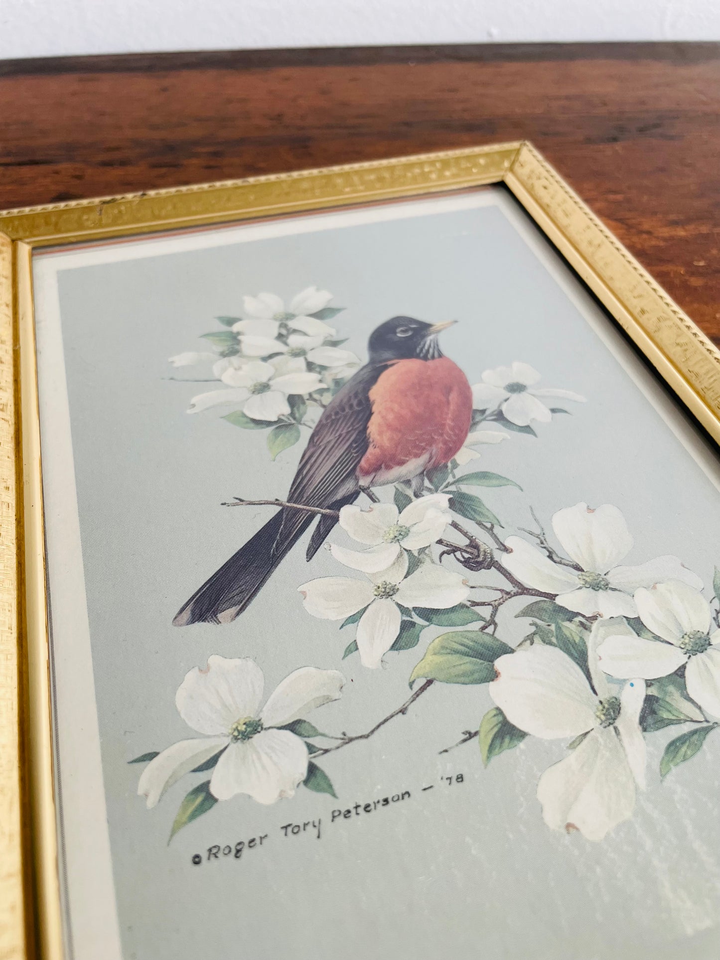 Robin Bird & Flowers Print in Brass Frame - Roger Tory Peterson 1978