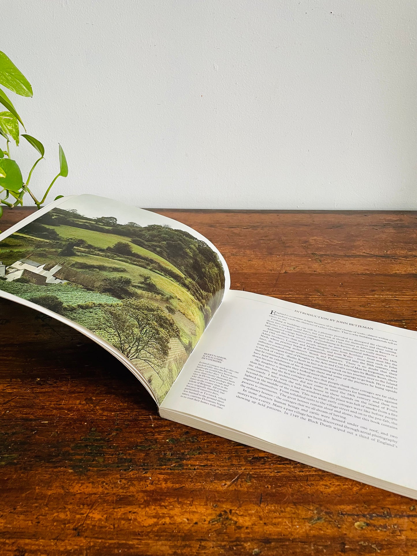 Vintage English Cottages Book by Tony Evans & Candida Lycett Green (1984)