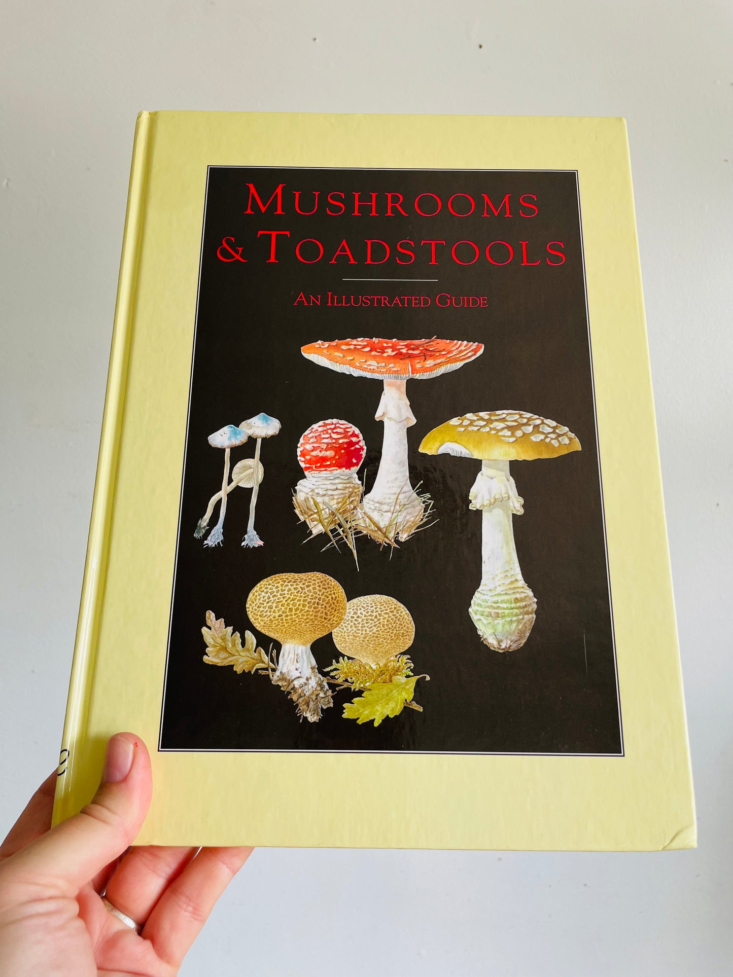 Vintage Mushrooms & Toadstools Illustrated Guide Hardcover Book by Jiří Baier (1995)
