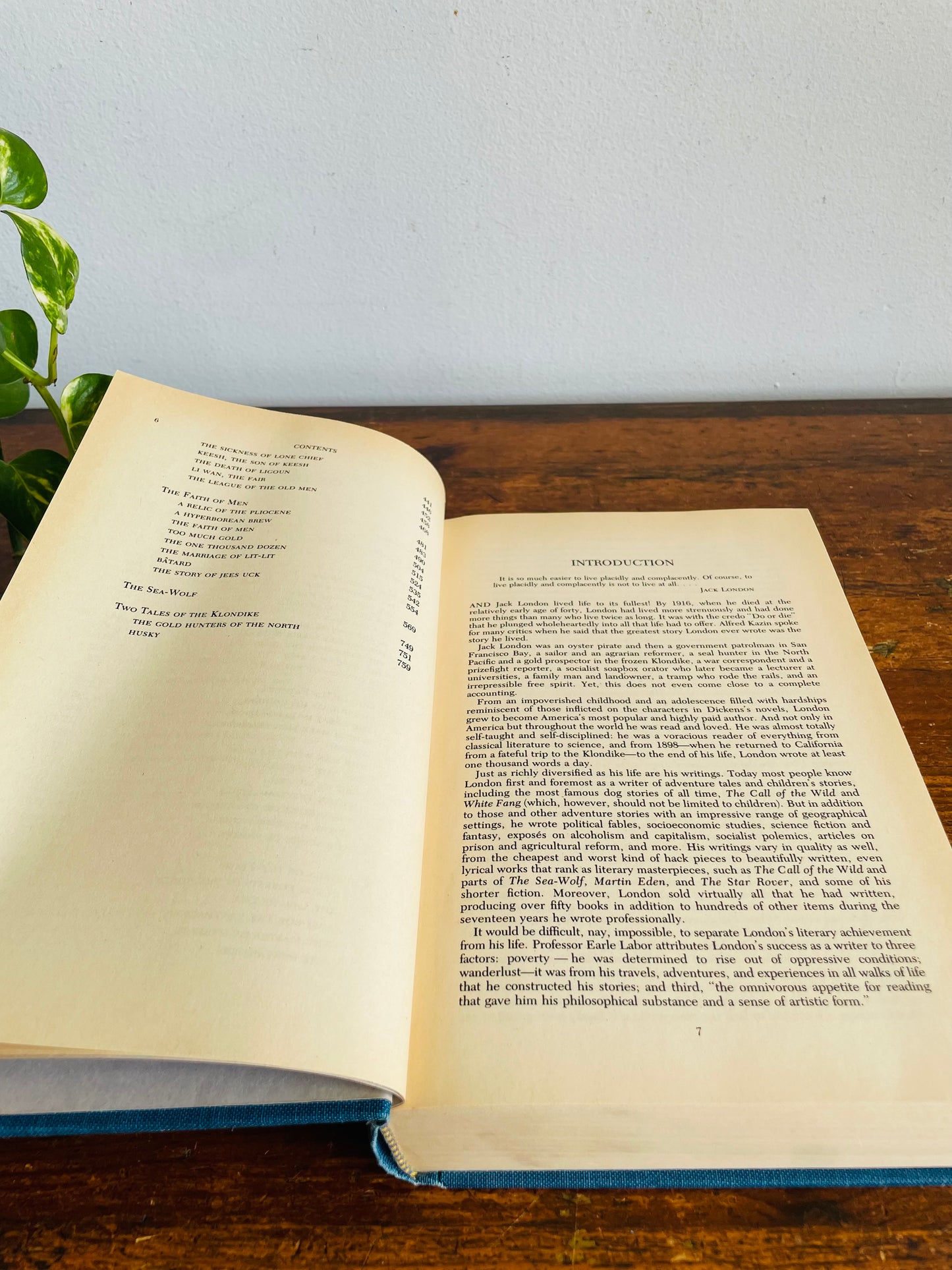 Vintage Jack London Compilation Hardcover Book - The Call of the Wild, White Fang, The Sea-Wolf & 40 Short Stories (1980)