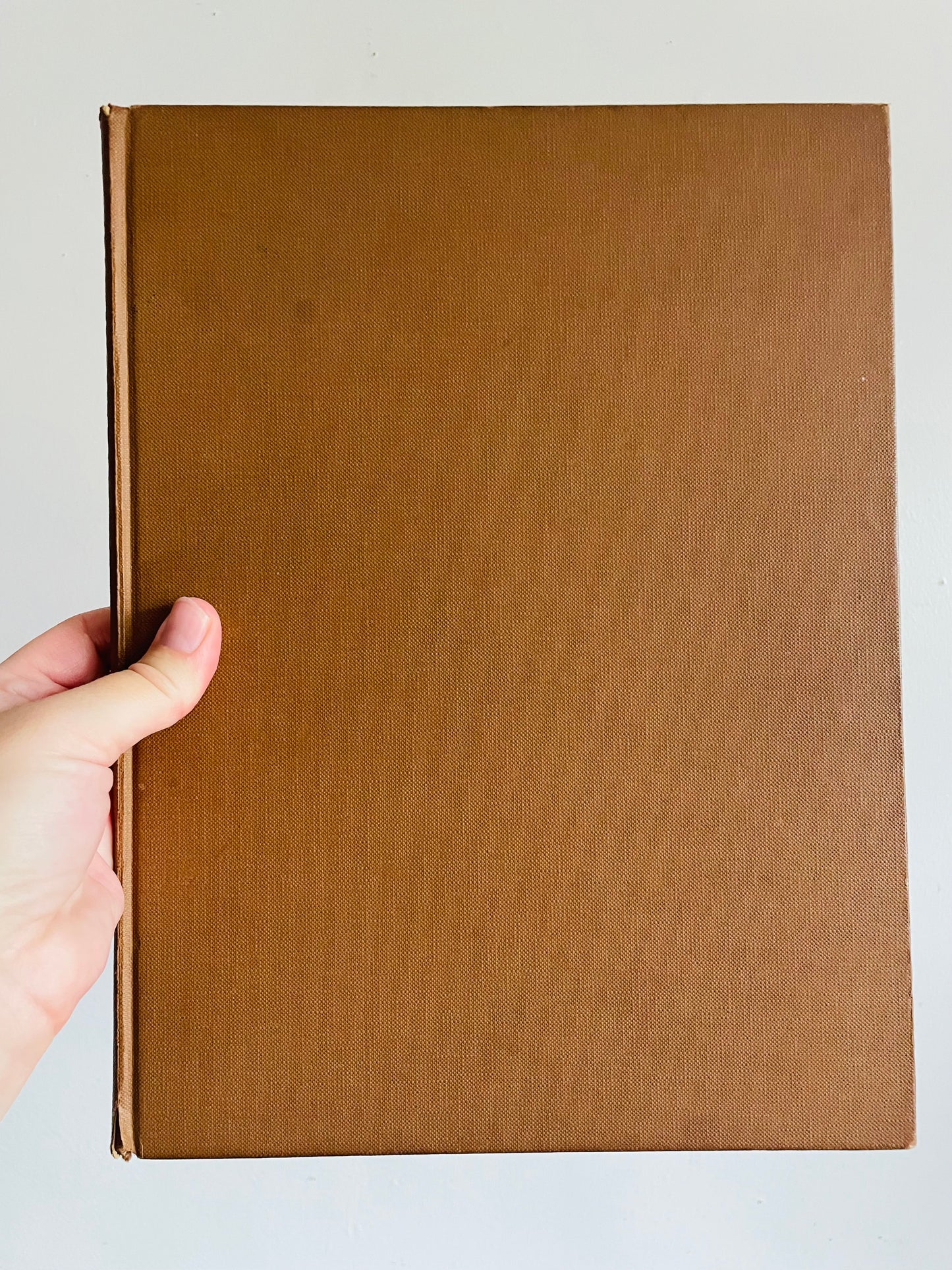 Vintage The World of Mushrooms Hardcover Coffee Table Book - Adapted from the Italian of Uberto Tosco (1973)