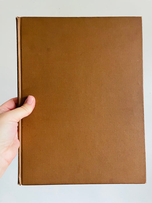 Vintage The World of Mushrooms Hardcover Coffee Table Book - Adapted from the Italian of Uberto Tosco (1973)