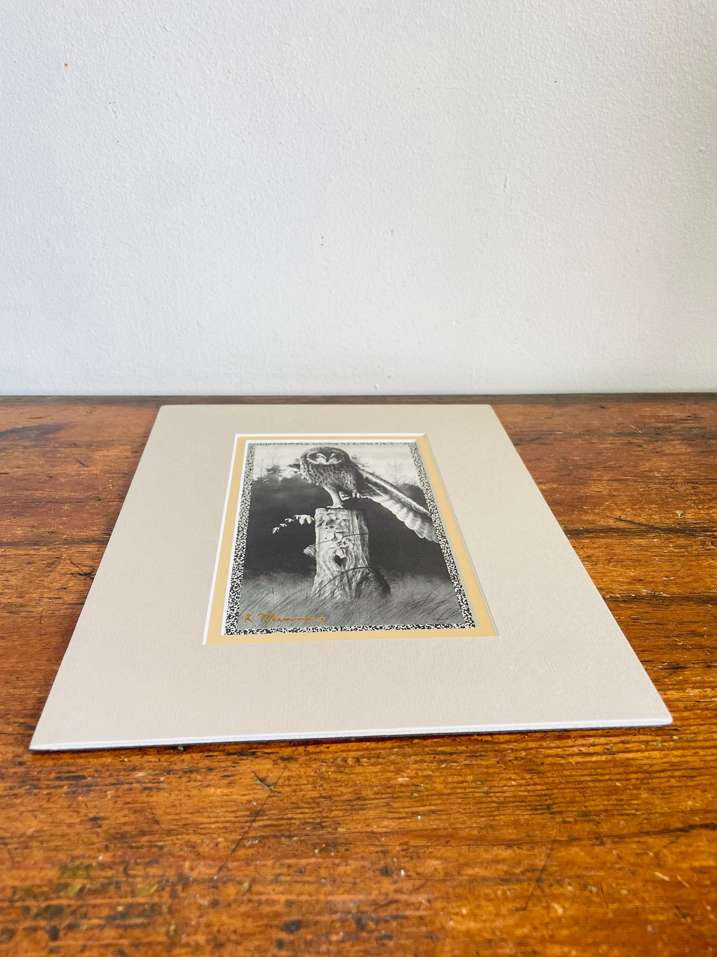 Vintage Black & White Photograph Print Picture of Owl on Tree Trunk with Forest Background - 8” x 10” - Matted & Ready to Frame