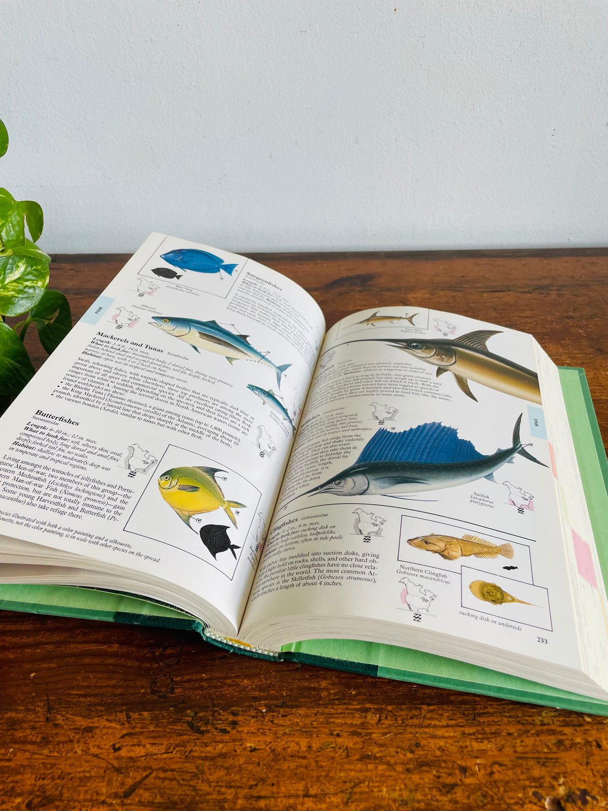 Vintage Reader's Digest North American Wildlife Hardcover Nature Guide Book with Illustrations (1982)