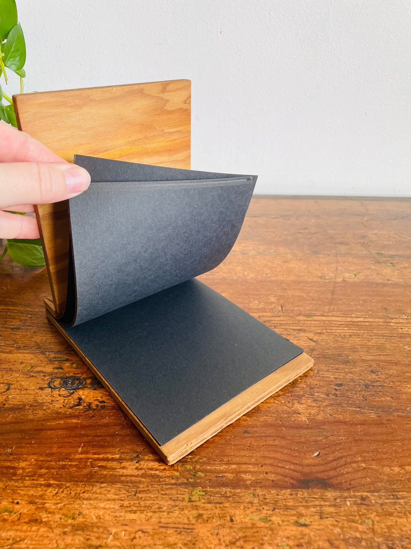 Vintage Wood Photo Album with Unused Black Blank Pages Inside - Snapshots - Souvenir from Bala, Ontario