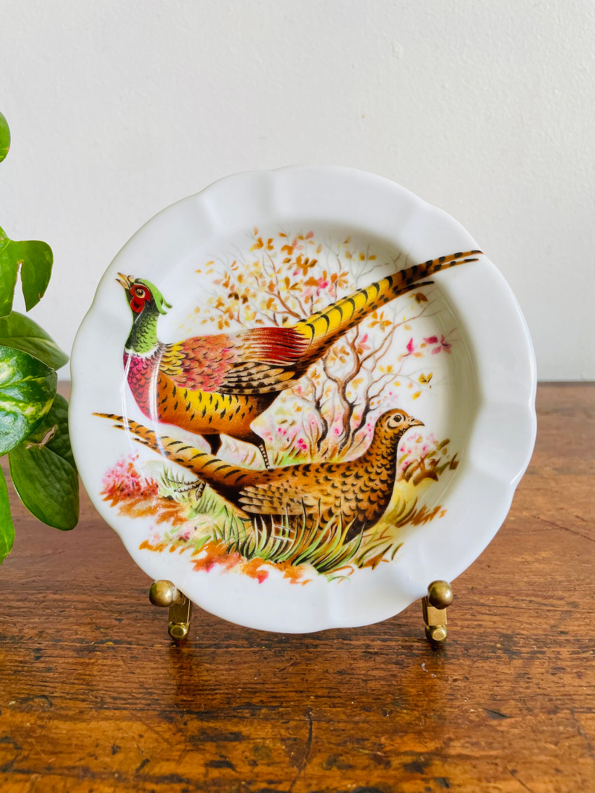 Vintage FD Chauvigny Porcelain Trinket Dish Plate with Pheasant Bird Design - Made in France