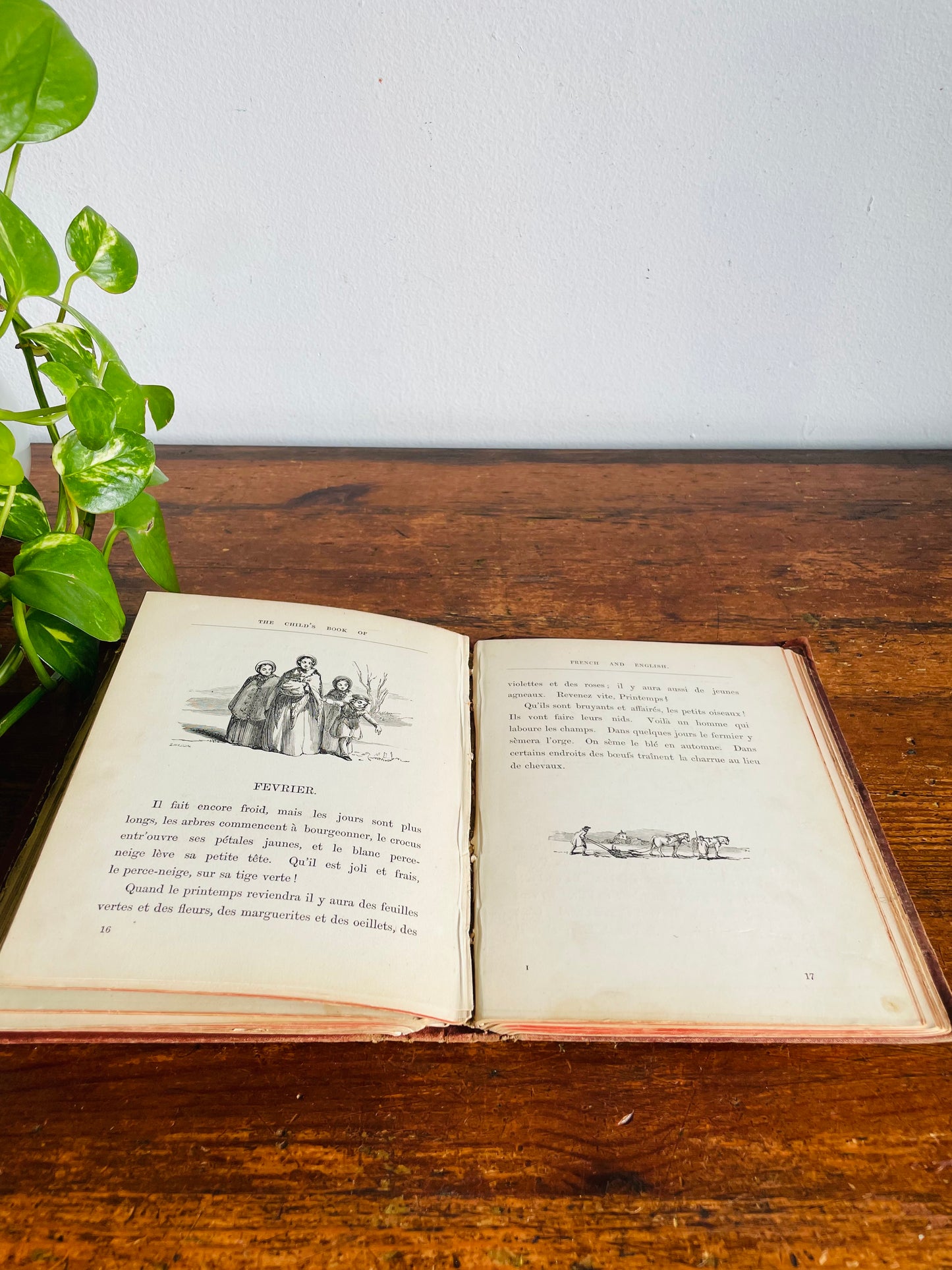 Vintage 1940s Child's Book of French & English Embossed Hardcover Book - Illustrated with 150 Engravings