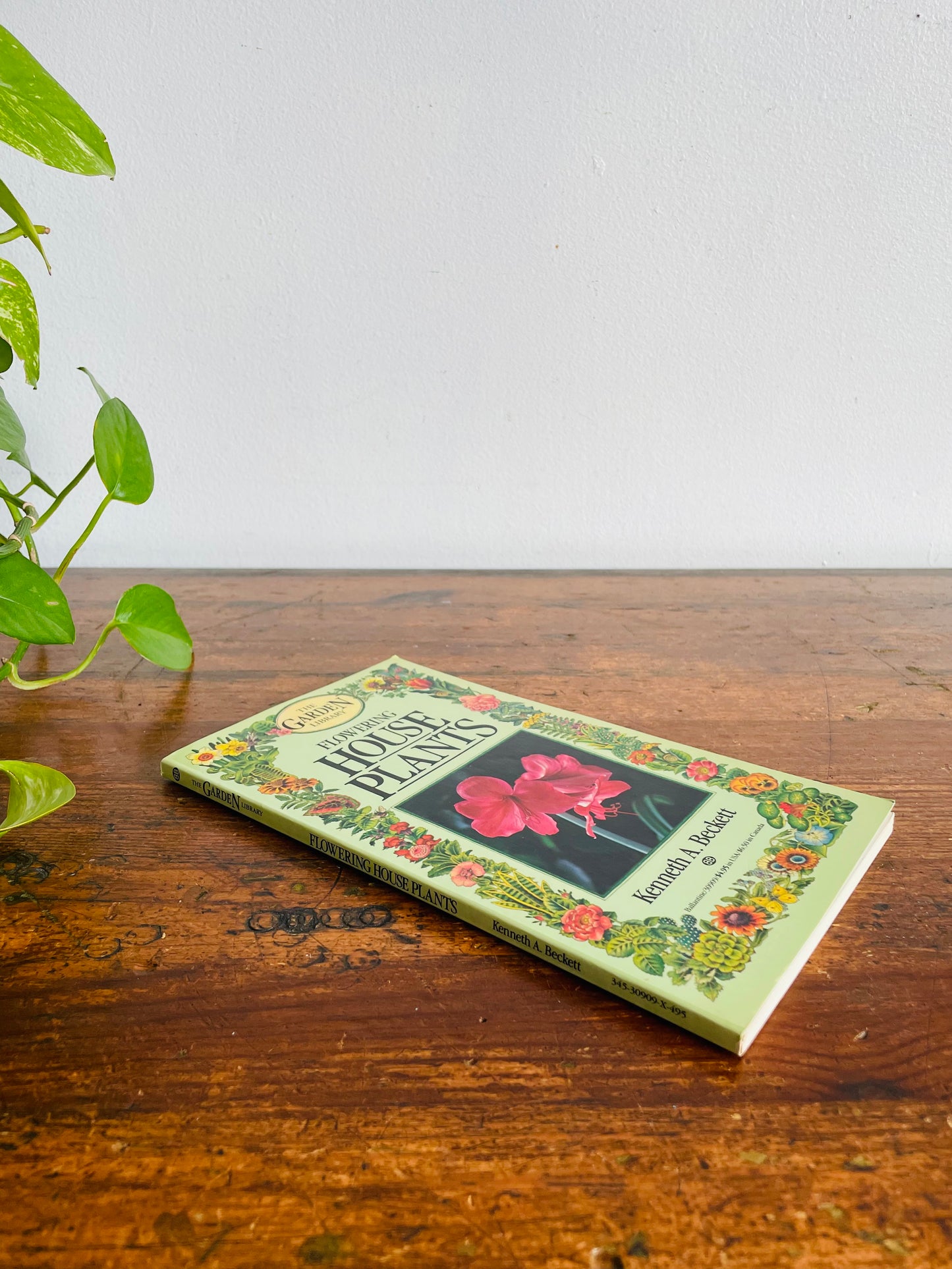 Vintage The Garden Library Flowering House Plants Book by Kenneth A. Beckett with Illustrations (1984)