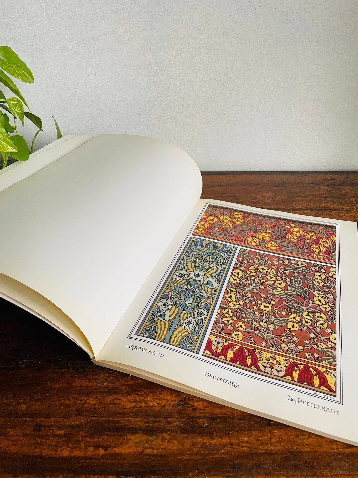 Vintage Art Nouveau Floral Designs Book by Eugene Grasset - With 40 Full Colour Plates (1988)