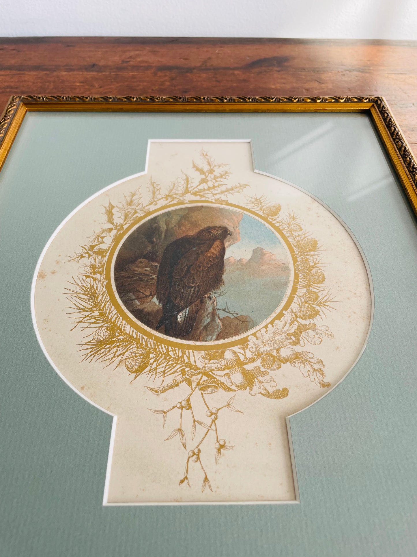 Vintage Illustrated Print Picture of Golden Eagle Bird with Chicks in Nest Overlooking Mountains - Gold Frame & Details, Unique Mat & Professionally Framed - Stunning Colours!