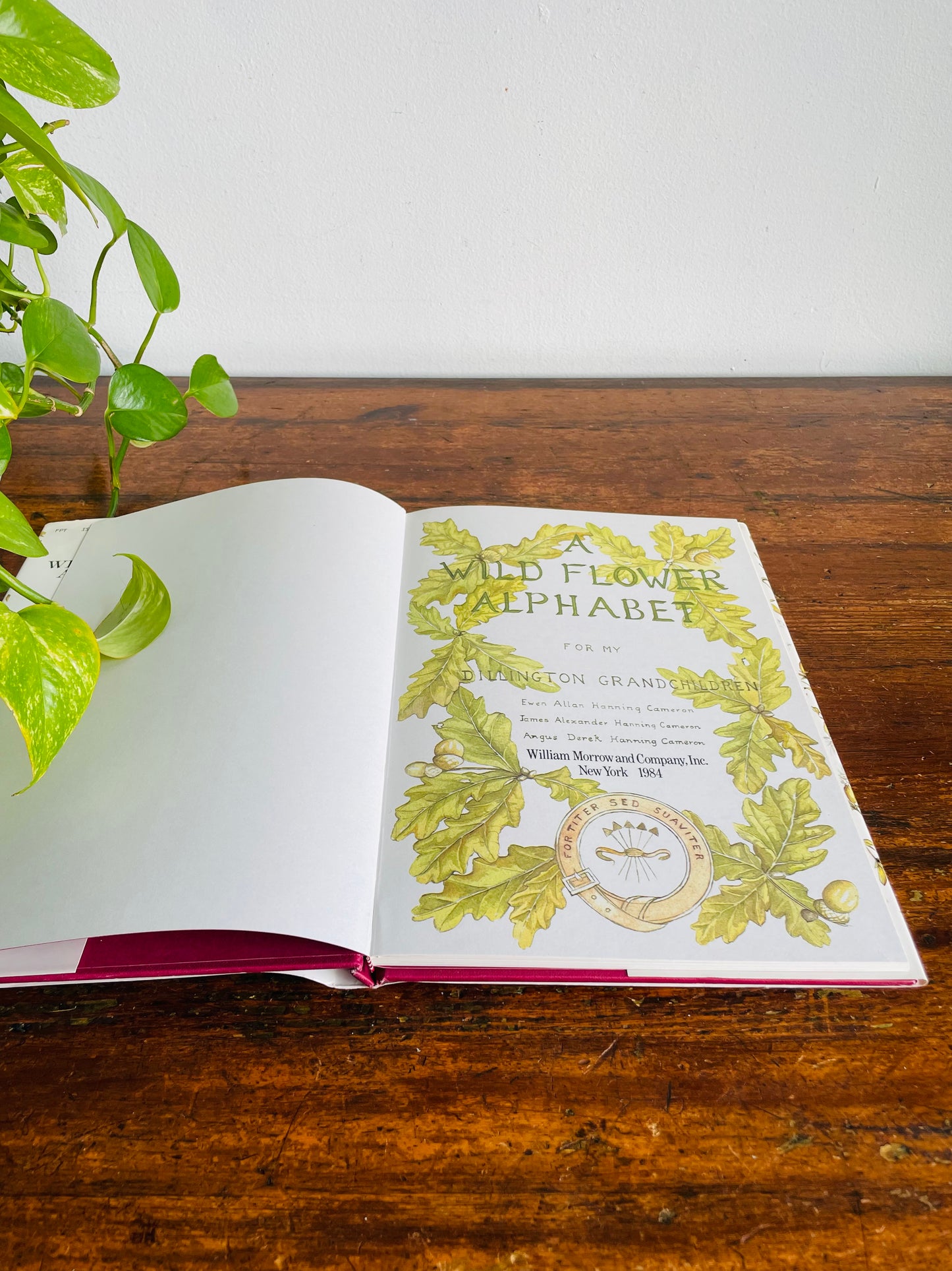 Vintage A Wild Flower Alphabet Hardcover Book by Elizabeth Cameron (1984) - Gorgeous Illustrations!