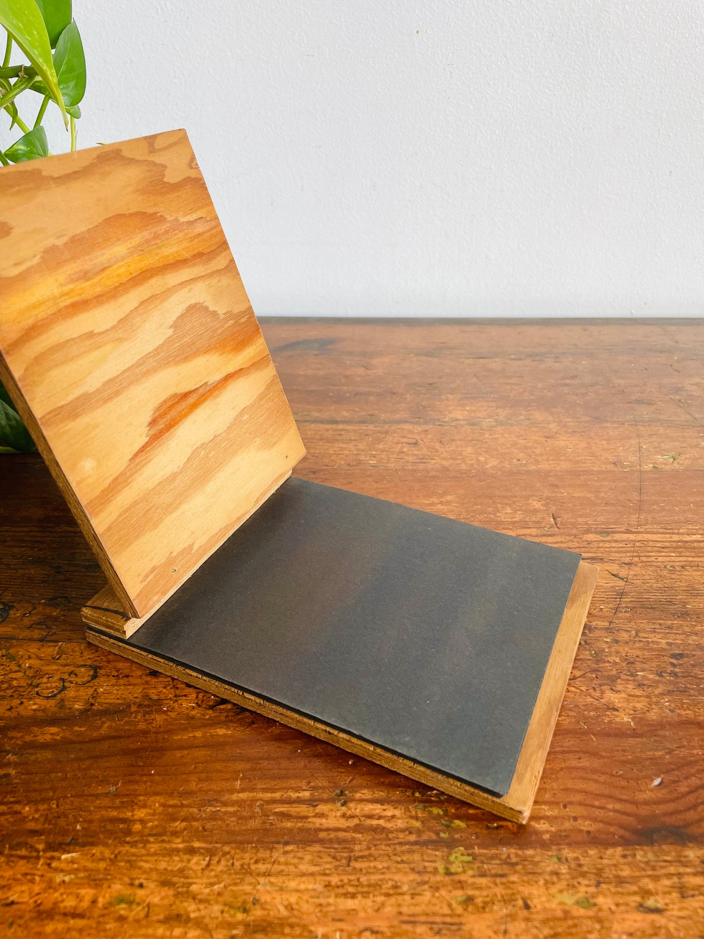 Vintage Wood Photo Album with Unused Black Blank Pages Inside - Snapshots - Souvenir from Bala, Ontario