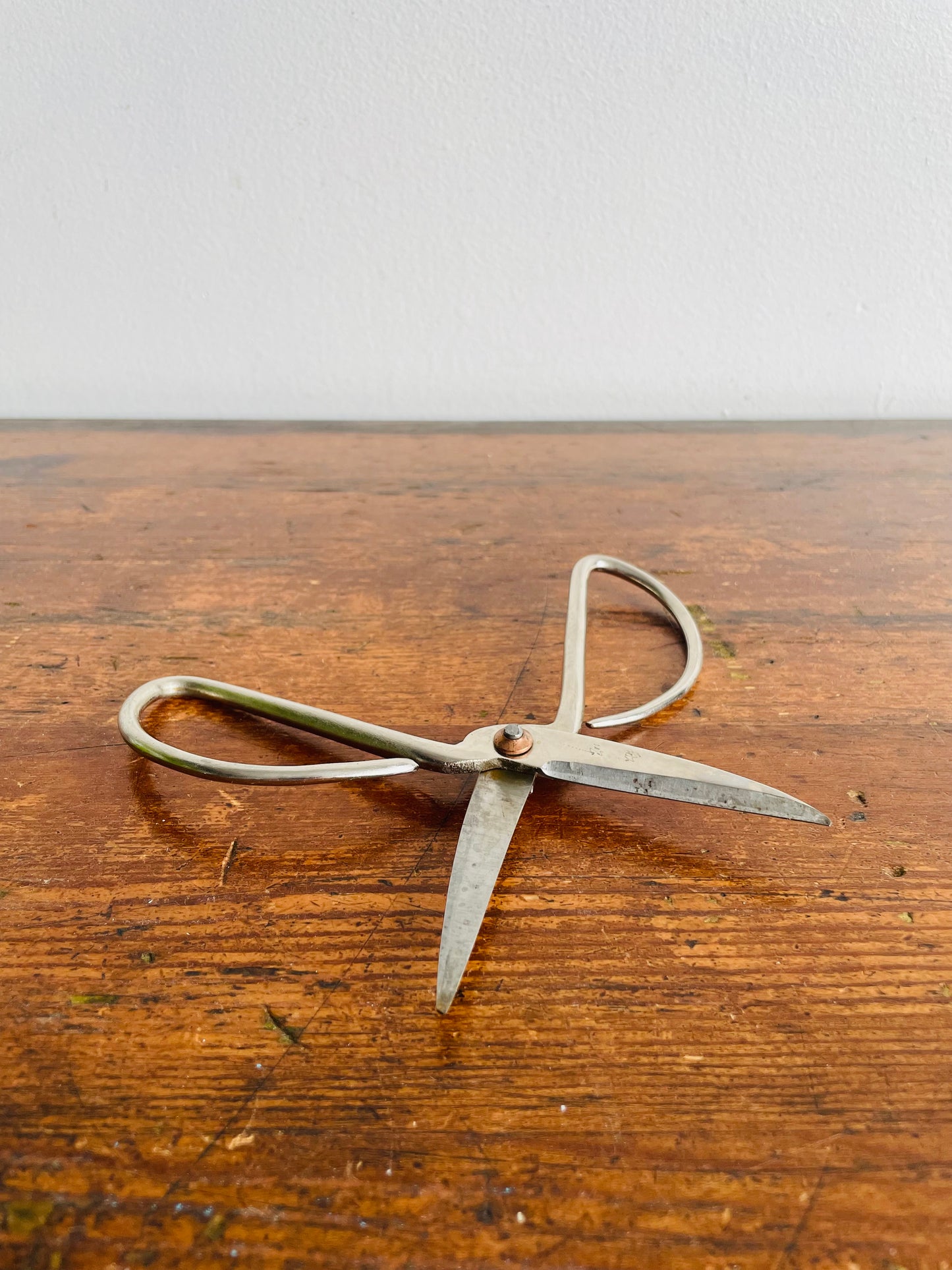 Bonsai Scissors - Gardening, Crafts, Sewing, Etc.