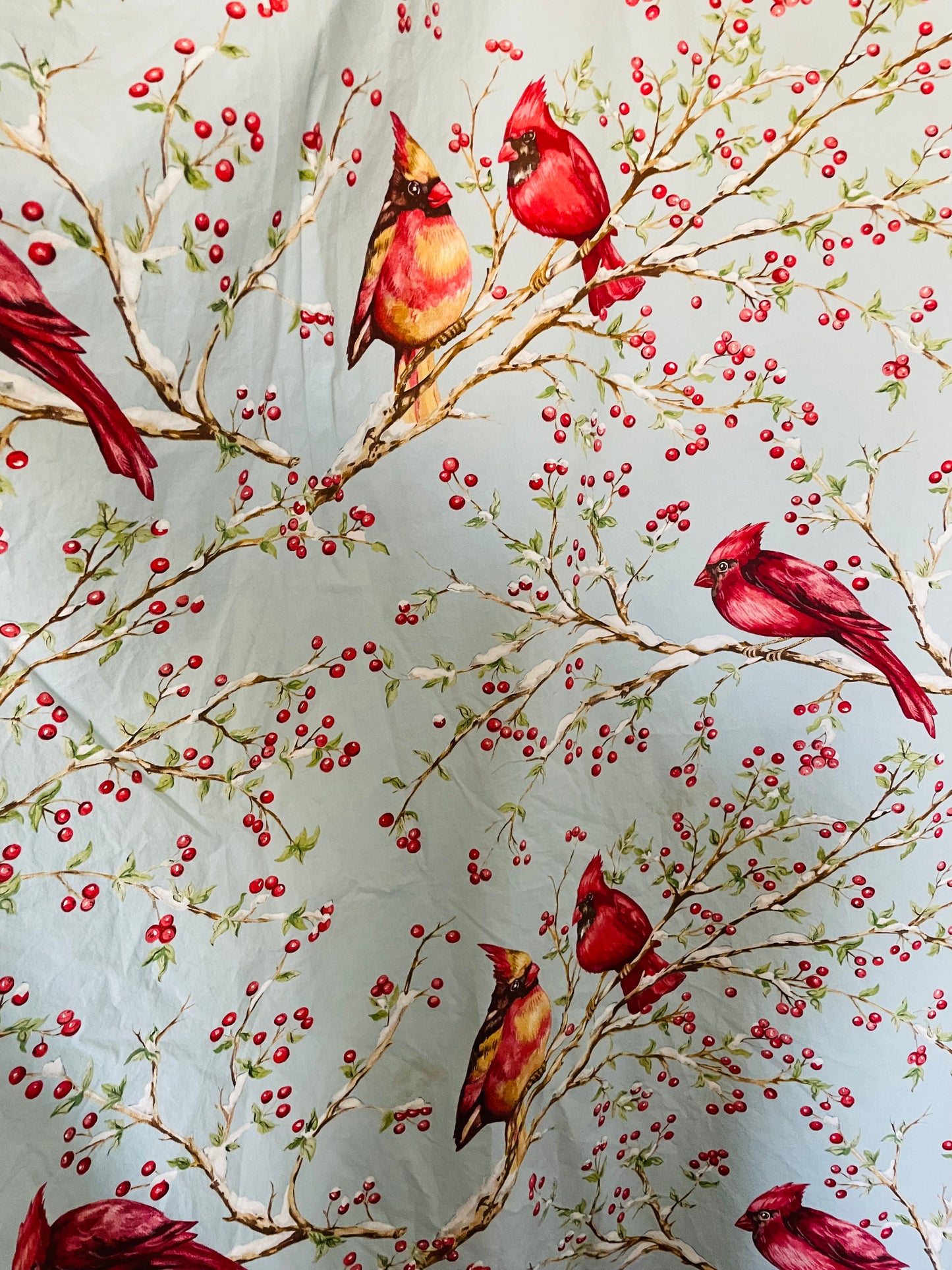 Pottery Barn 100% Cotton Full/Queen Size Duvet Cover Set with 2 Pillowcases (2011) - Winter Scene with Cardinals & Red Berries