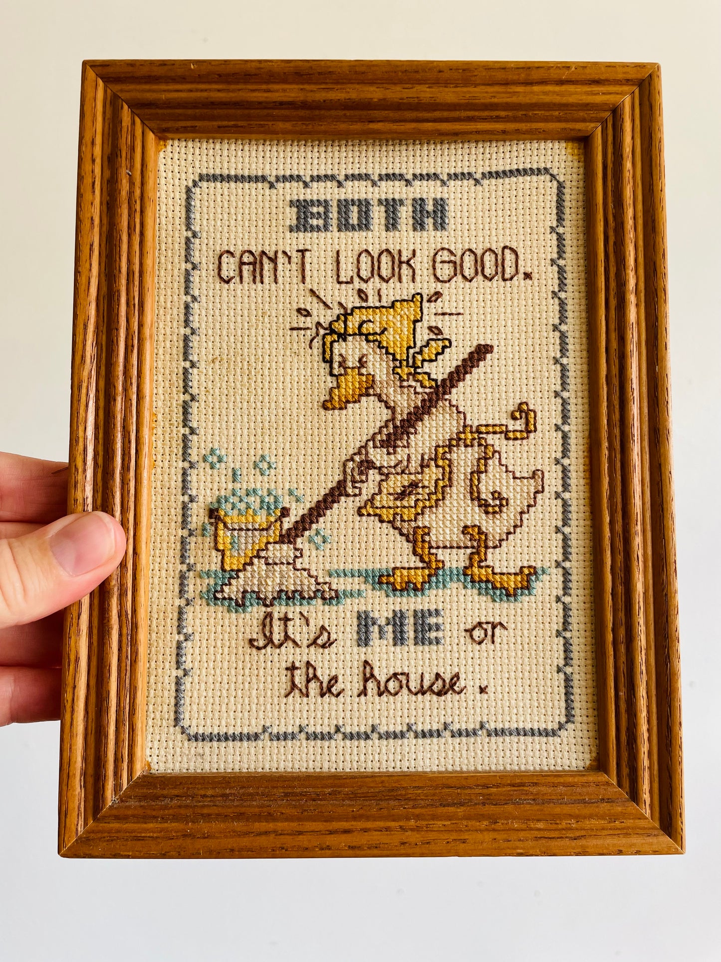 Vintage Duck Embroidery Picture - Both Can't Look Good. It's ME or the House.