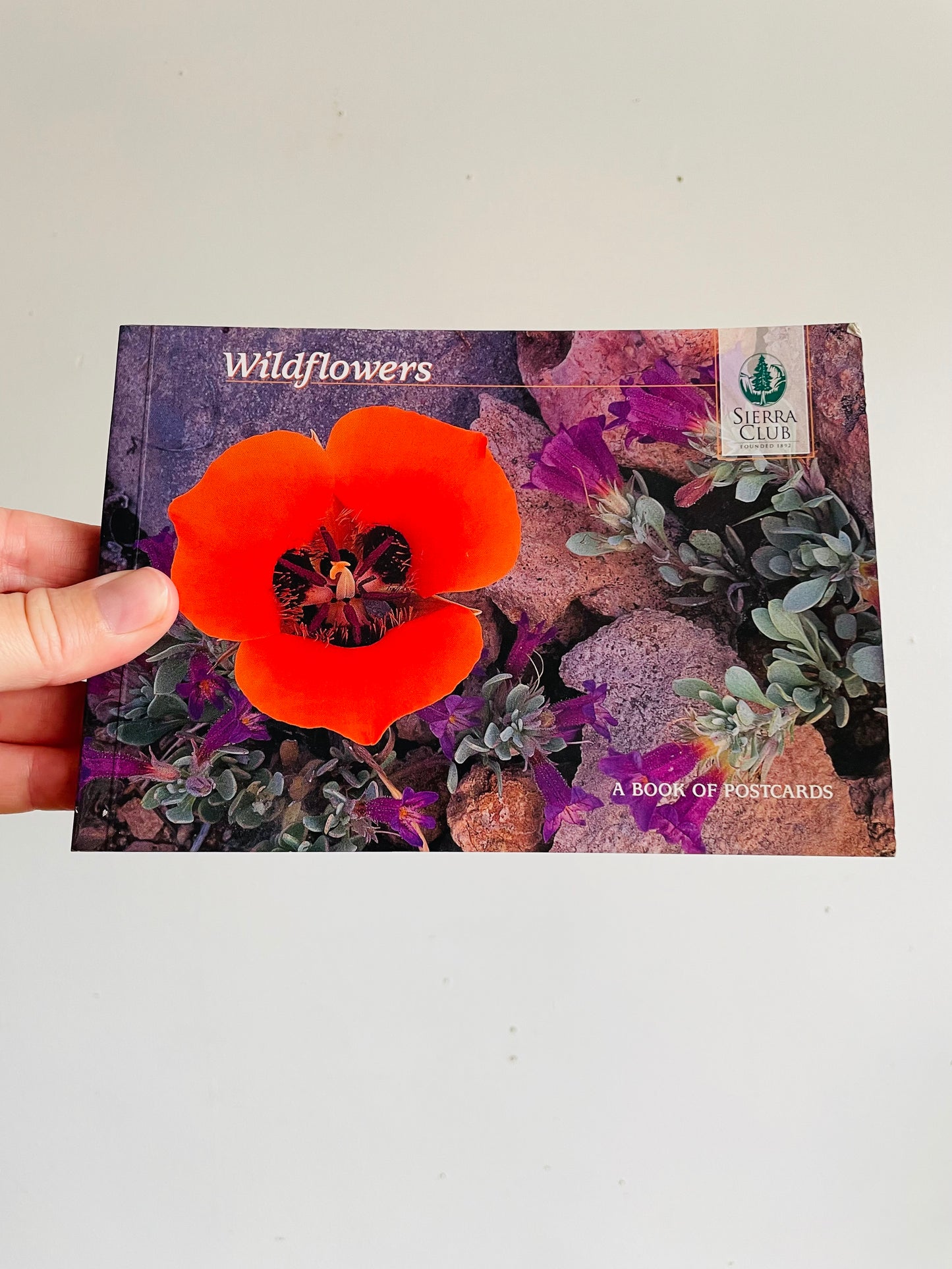 Vintage Sierra Club Book of Wildflower Postcards - Larry Ulrich Photography (2004) - Includes 23 Flower Postcards