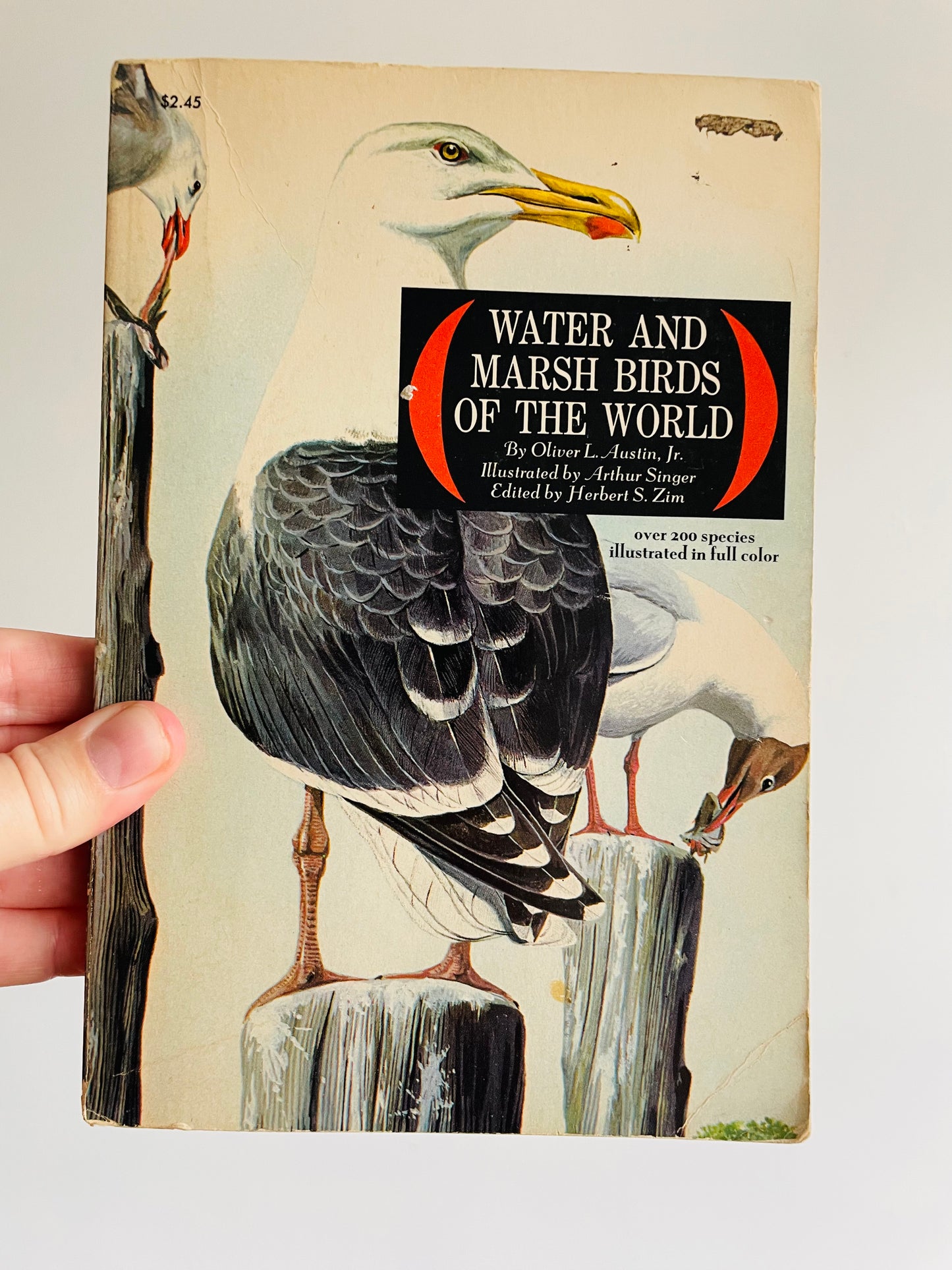 Water And Marsh Birds of The World Book by Oliver L. Austin, Jr. & Illustrated by Arthur Singer (1967)