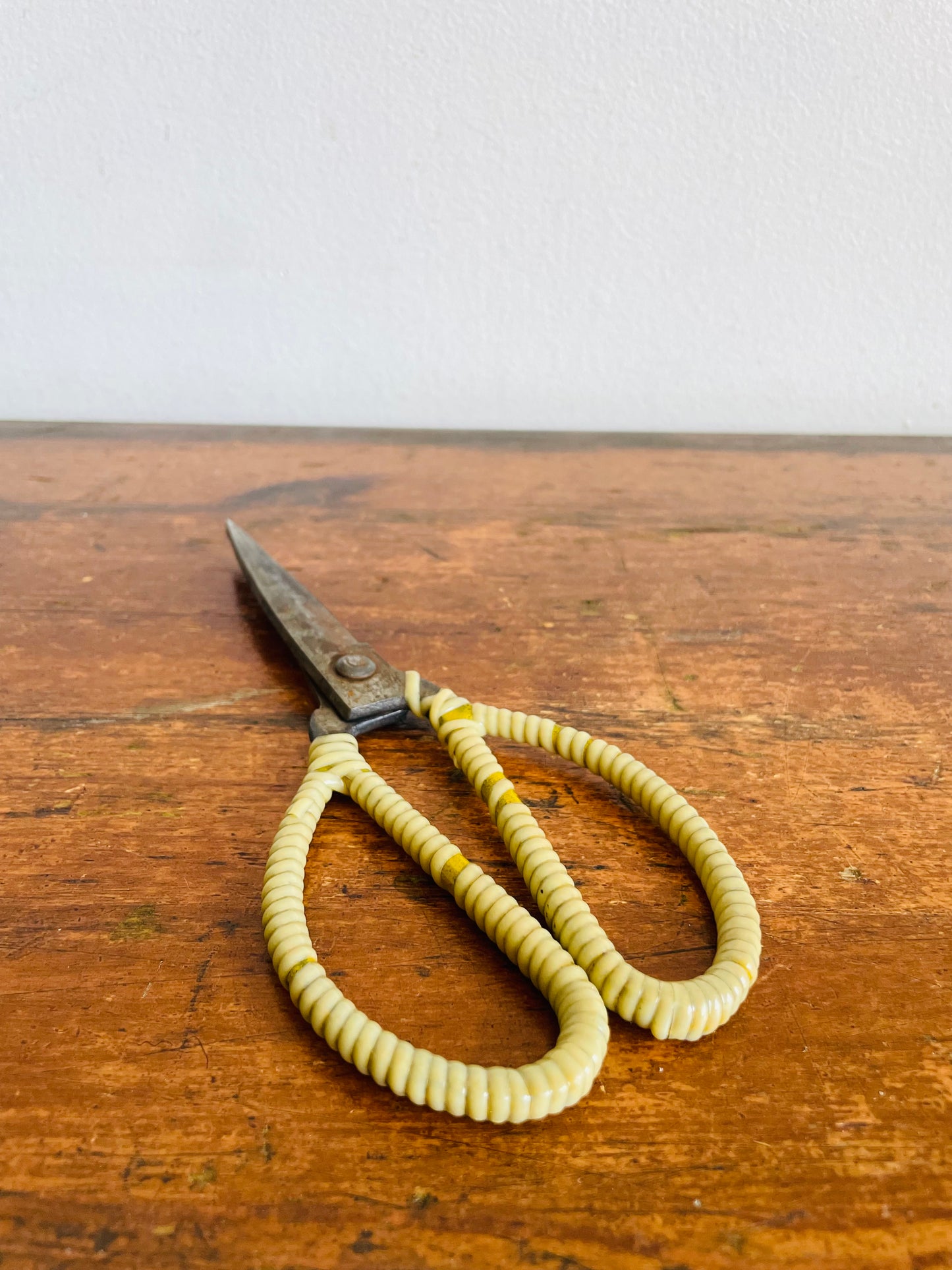 Vintage Metal Scissor Shears