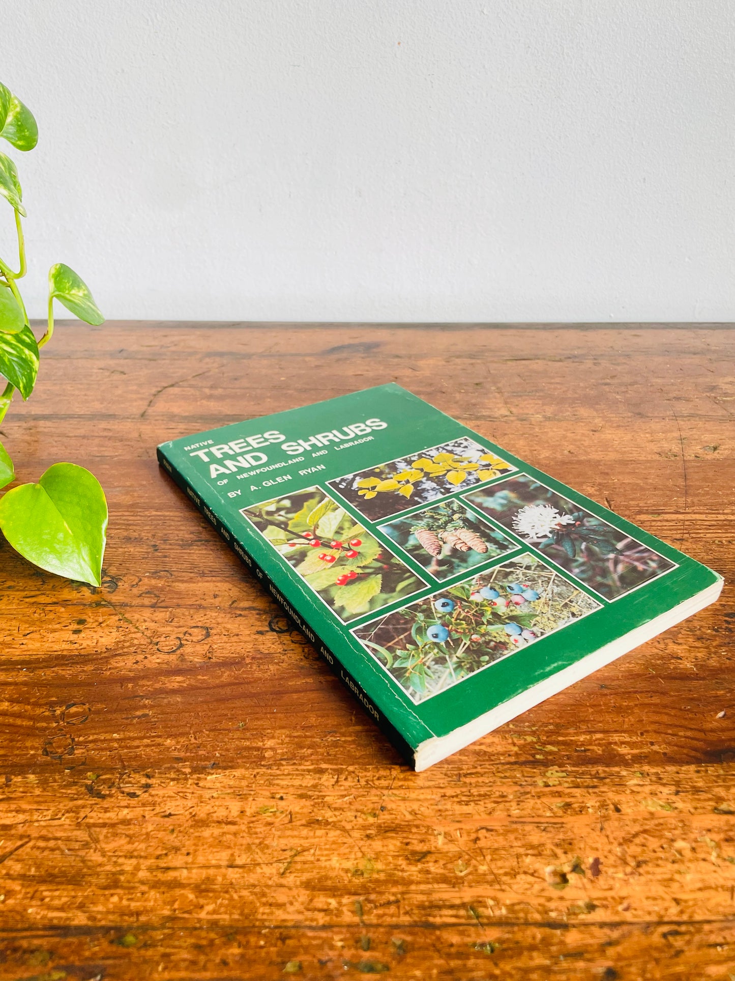 Vintage Native Trees And Shrubs of Newfoundland And Labrador Softcover Book by A. Glen Ryan (1978)